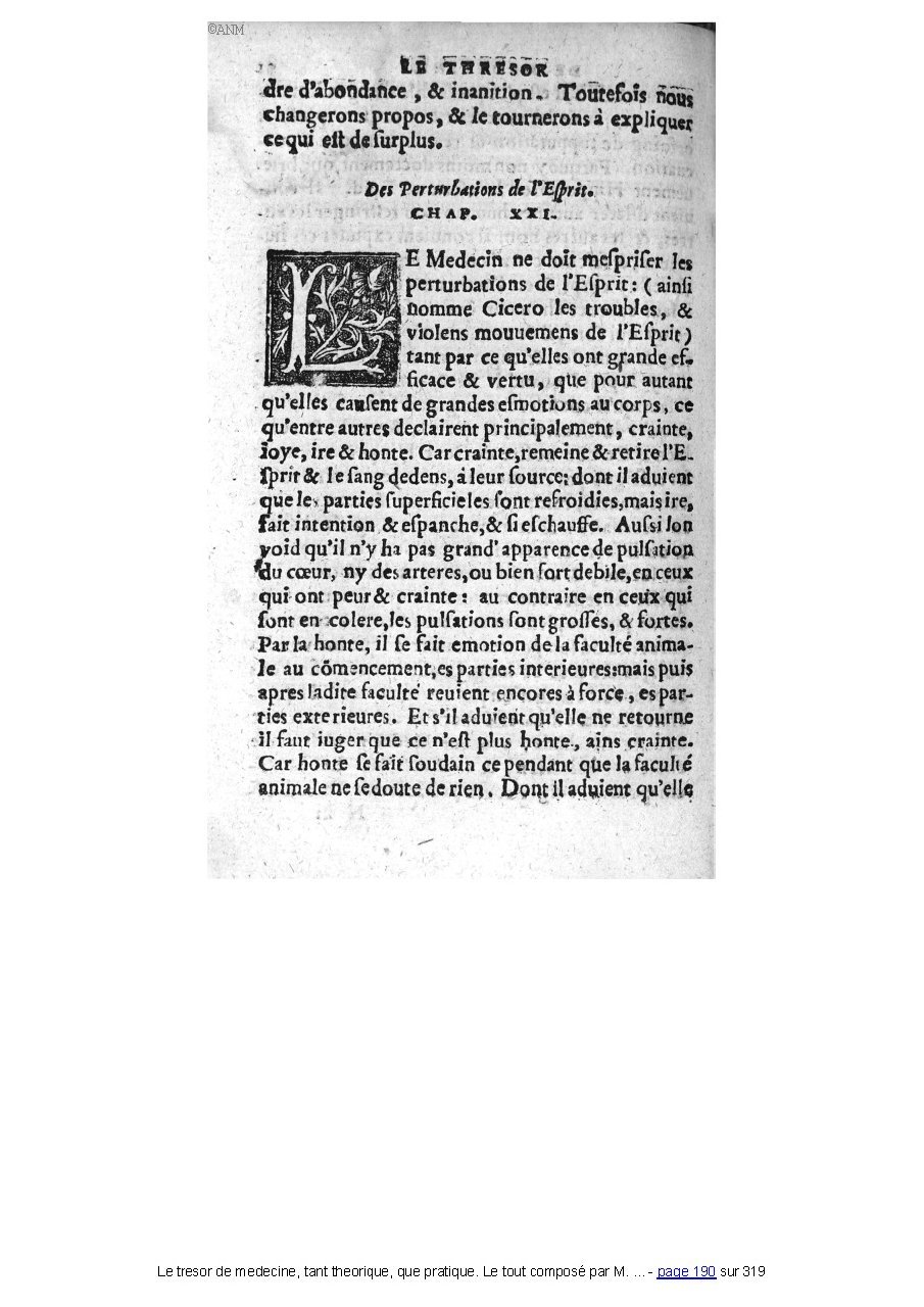1560 - Pierre et Jan Moine - Trésor de médecine - Université Paris Cité 1560 - Pierre et Jan Moine - Trésor de médecine - Université Paris Cité