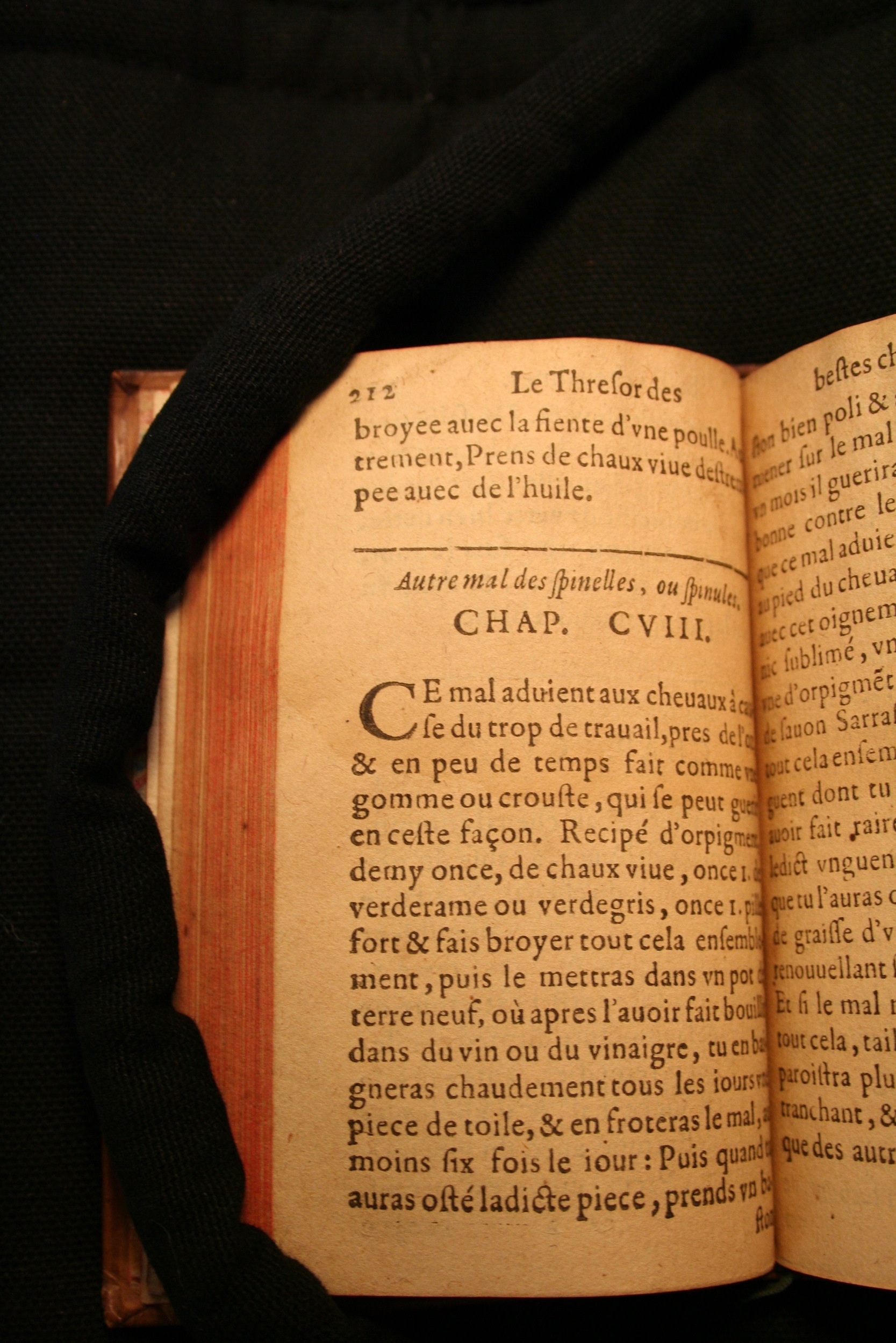 1591 - Pierre Chastaing et Benoît Rigaud - Trésor des bêtes chevalines - BM Bordeaux