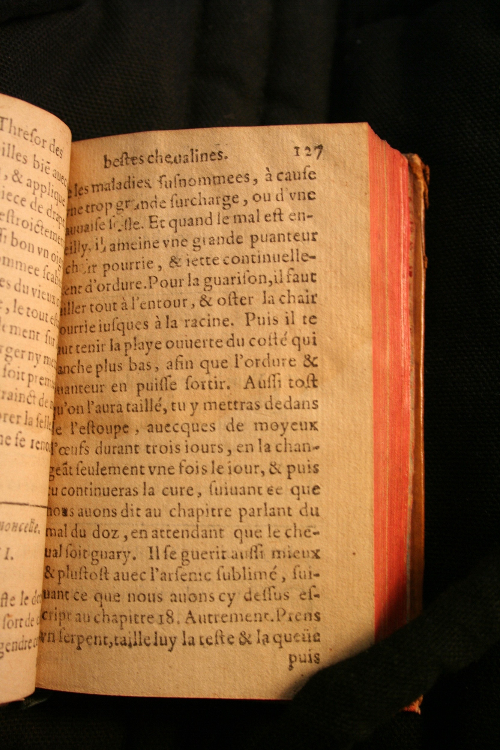 1591 - Pierre Chastaing et Benoît Rigaud - Trésor des bêtes chevalines - BM Bordeaux