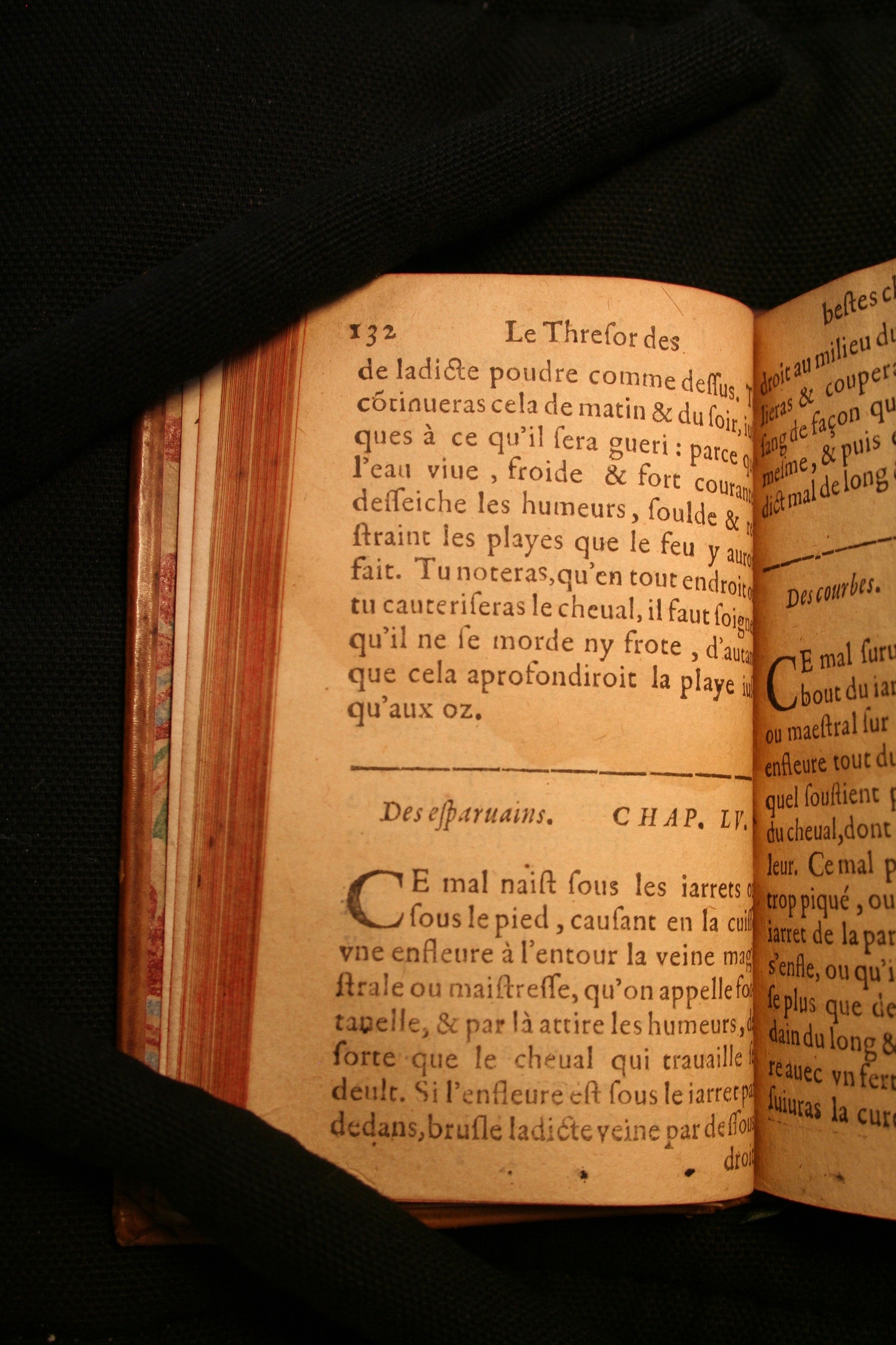 1591 - Pierre Chastaing et Benoît Rigaud - Trésor des bêtes chevalines - BM Bordeaux