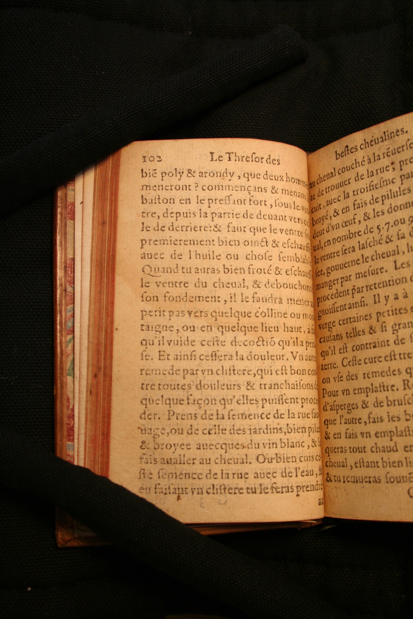 1591 - Pierre Chastaing et Benoît Rigaud - Trésor des bêtes chevalines - BM Bordeaux