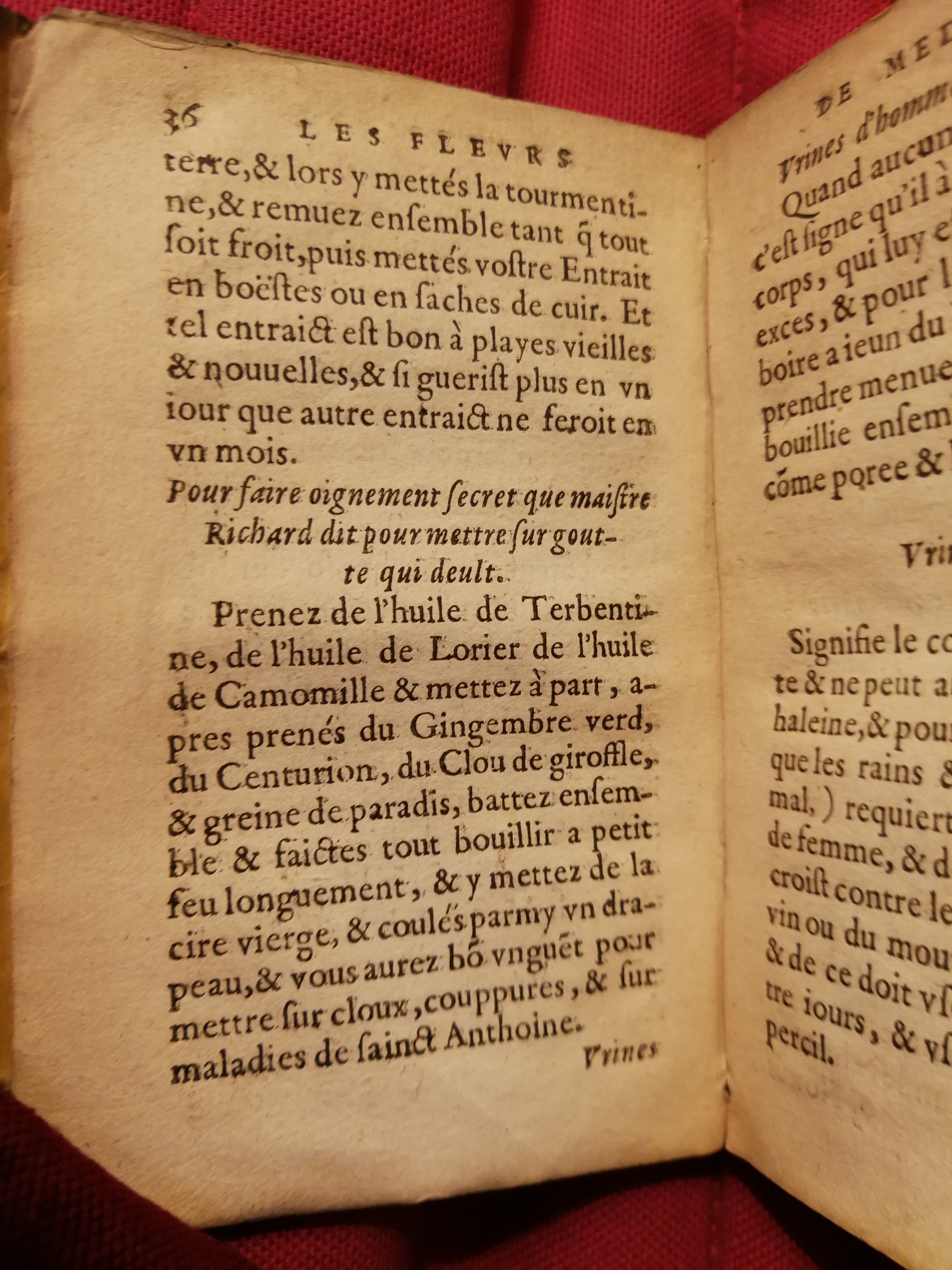 1586 - Benoît Rigaud - Trésor des fleurs et secrets de médecine - Sainte-Geneviève