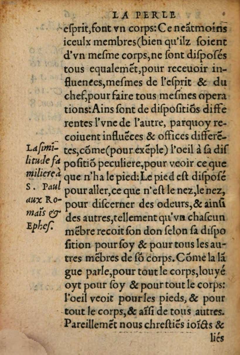 1548 - René Avril et Vivant Gaulterot - Perle précieuse évangélique et Trésor divin - BSB Munich