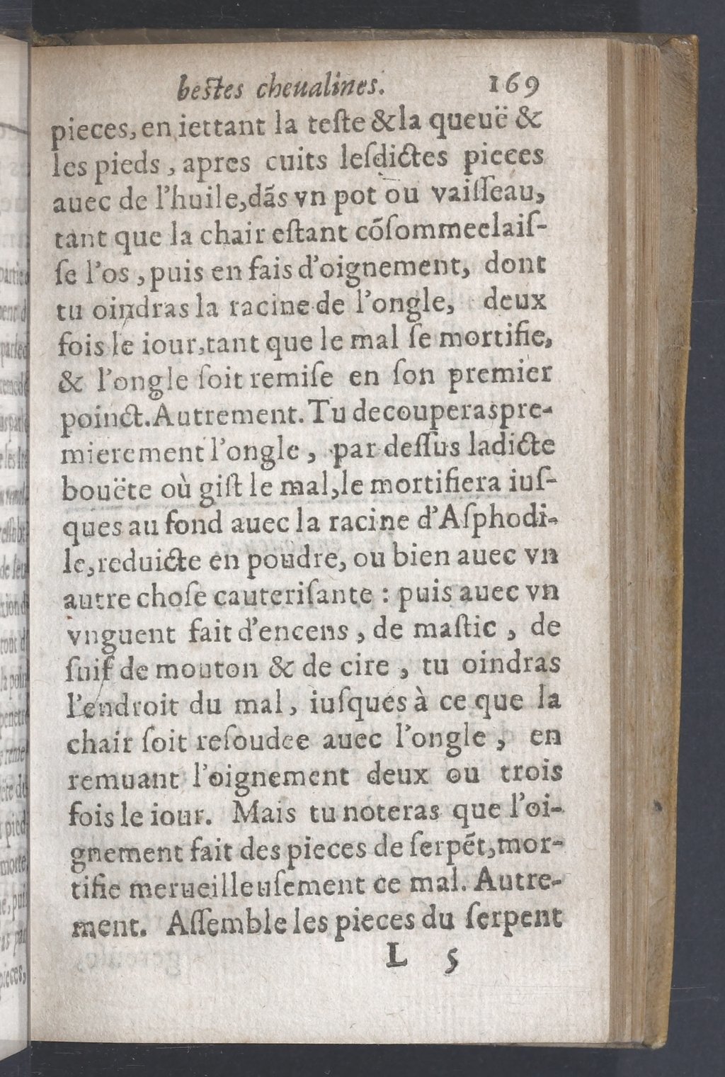 1619 - Pierre Rigaud - Trésor des bêtes chevalines - BnF 1619 - Pierre Rigaud - Trésor des bêtes chevalines - BnF