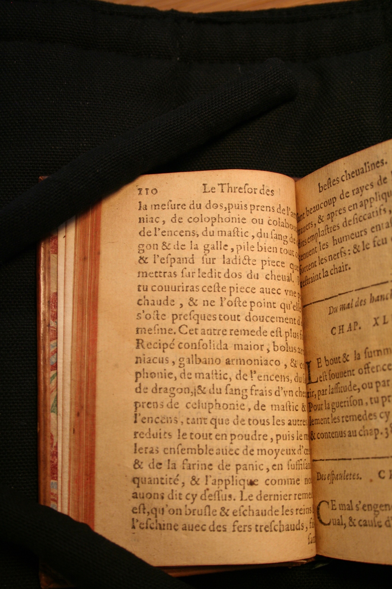 1591 - Pierre Chastaing et Benoît Rigaud - Trésor des bêtes chevalines - BM Bordeaux