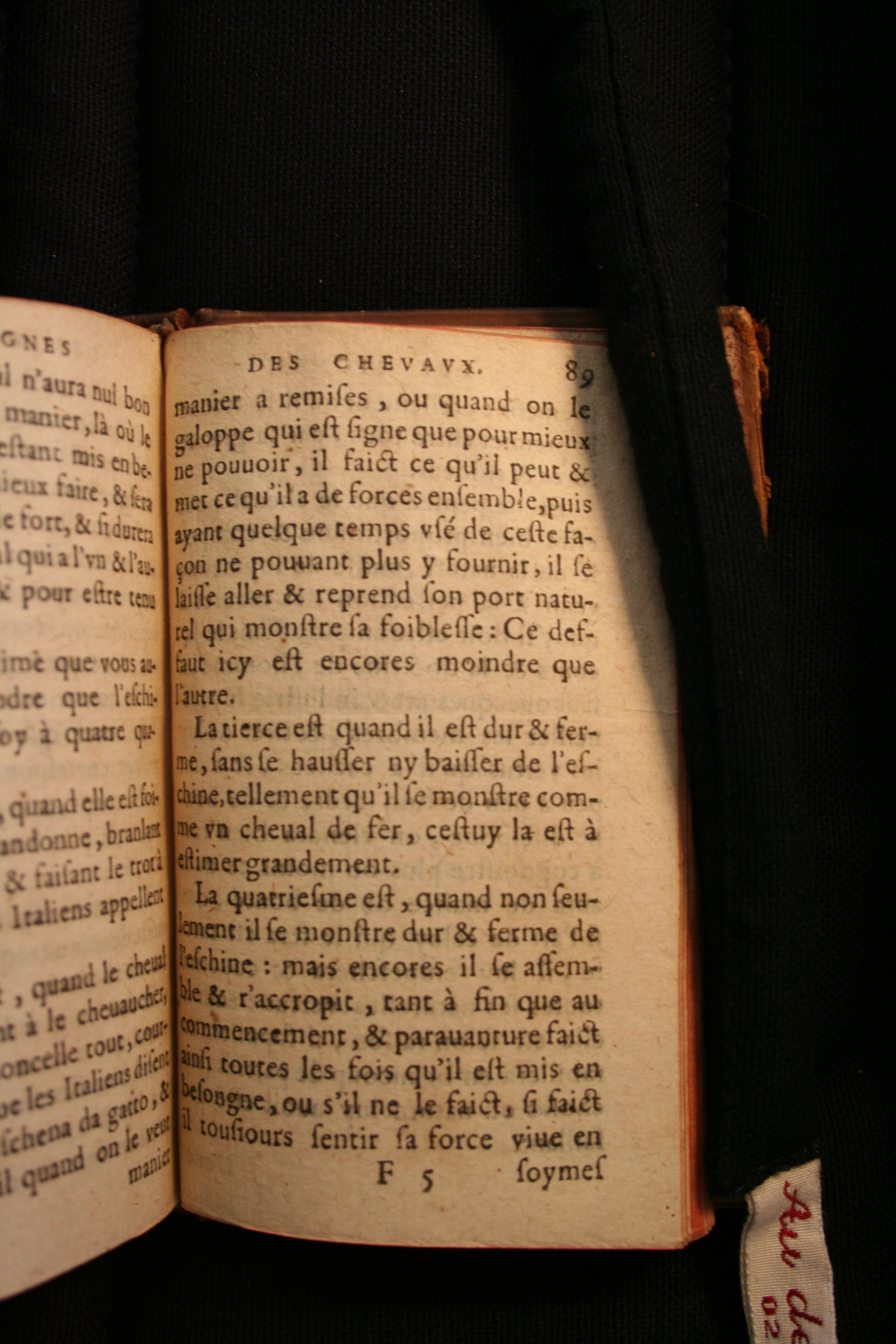 1591 - Pierre Chastaing et Benoît Rigaud - Trésor des bêtes chevalines - BM Bordeaux