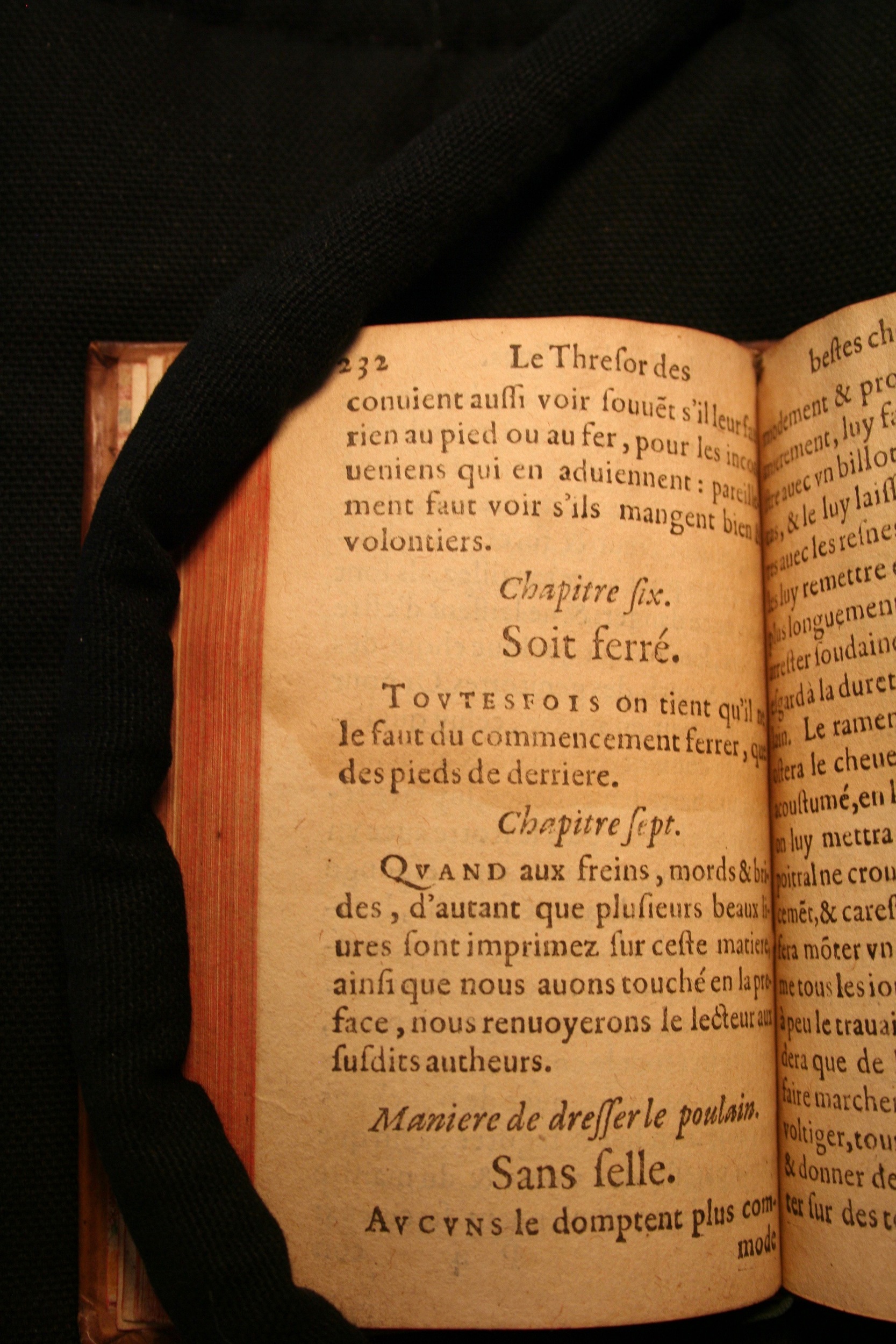 1591 - Pierre Chastaing et Benoît Rigaud - Trésor des bêtes chevalines - BM Bordeaux