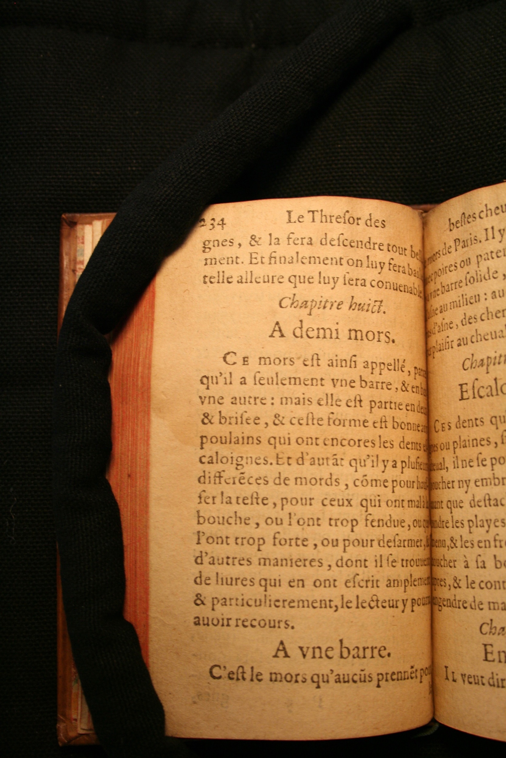 1591 - Pierre Chastaing et Benoît Rigaud - Trésor des bêtes chevalines - BM Bordeaux