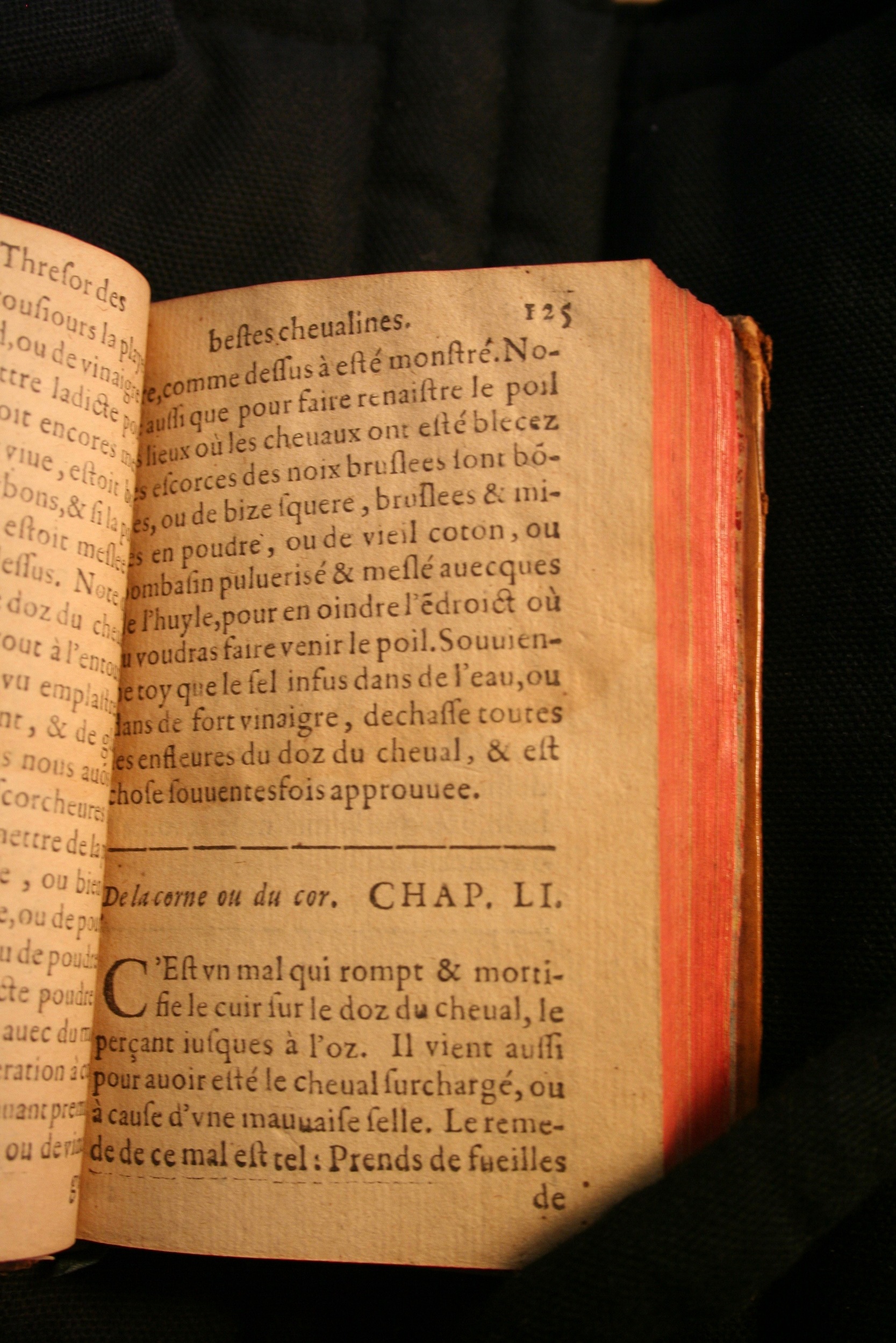 1591 - Pierre Chastaing et Benoît Rigaud - Trésor des bêtes chevalines - BM Bordeaux