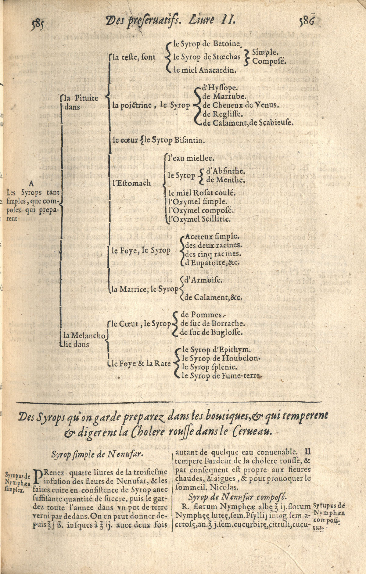 1610 - Étienne Gamonet - Grand Trésor ou dispensaire - CESR Tours