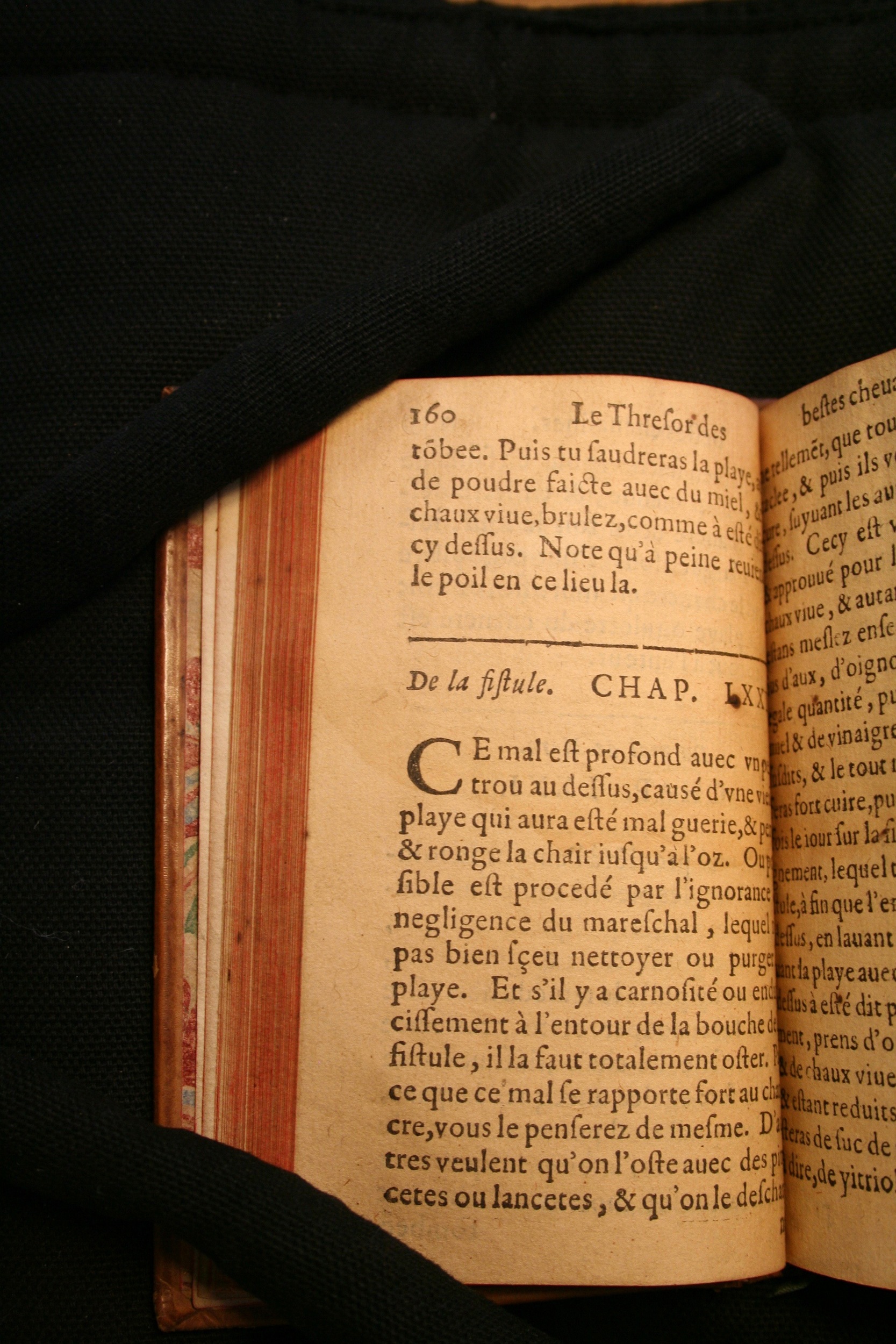 1591 - Pierre Chastaing et Benoît Rigaud - Trésor des bêtes chevalines - BM Bordeaux