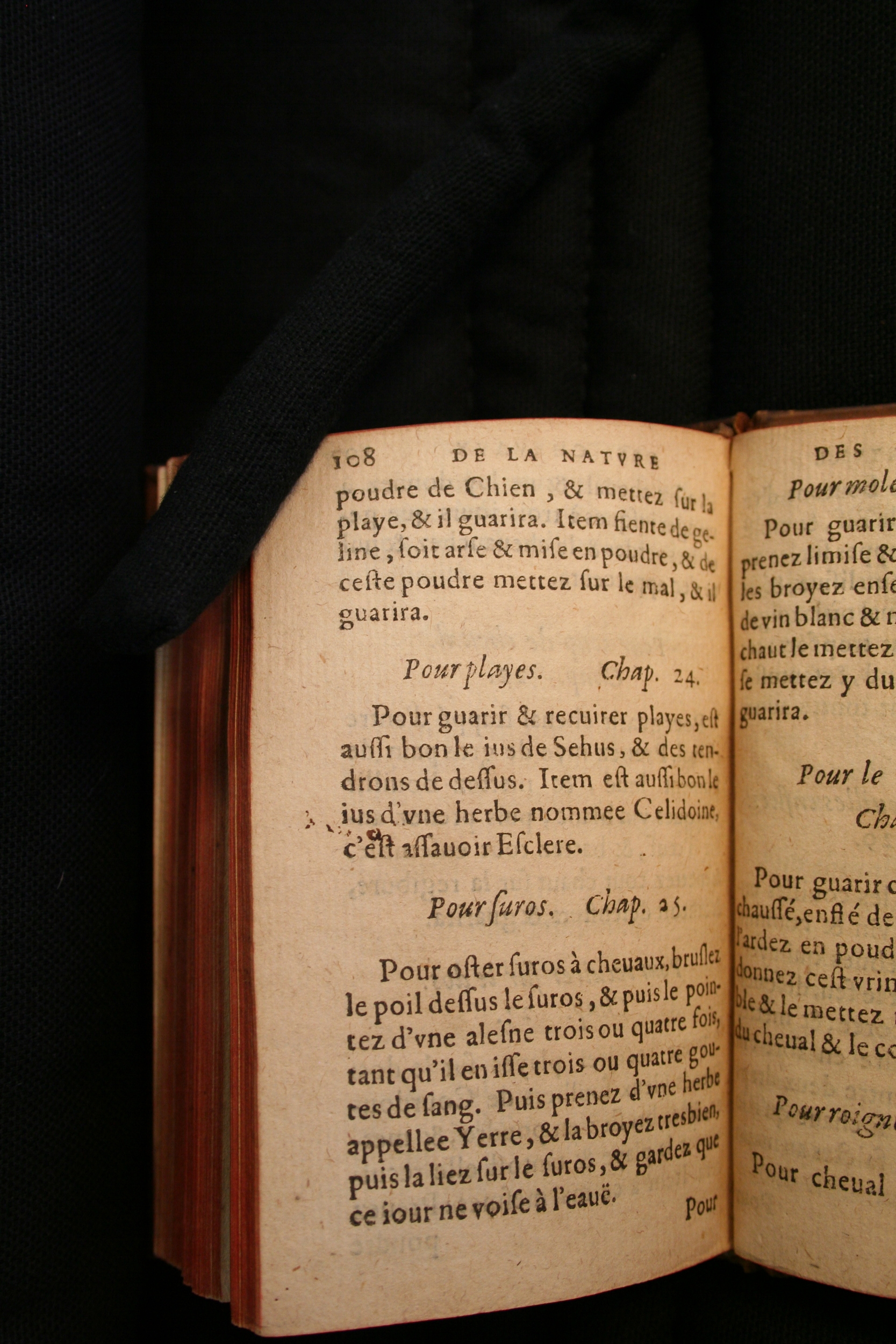 1591 - Pierre Chastaing et Benoît Rigaud - Trésor des bêtes chevalines - BM Bordeaux