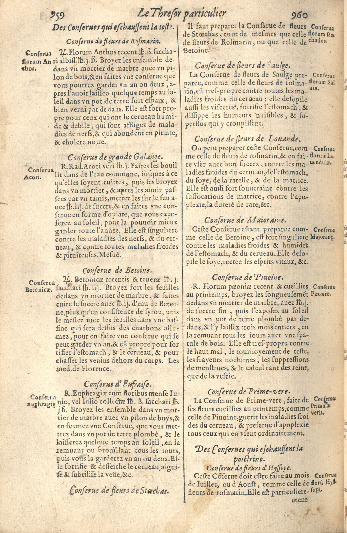 1610 - Étienne Gamonet - Grand Trésor ou dispensaire - CESR Tours