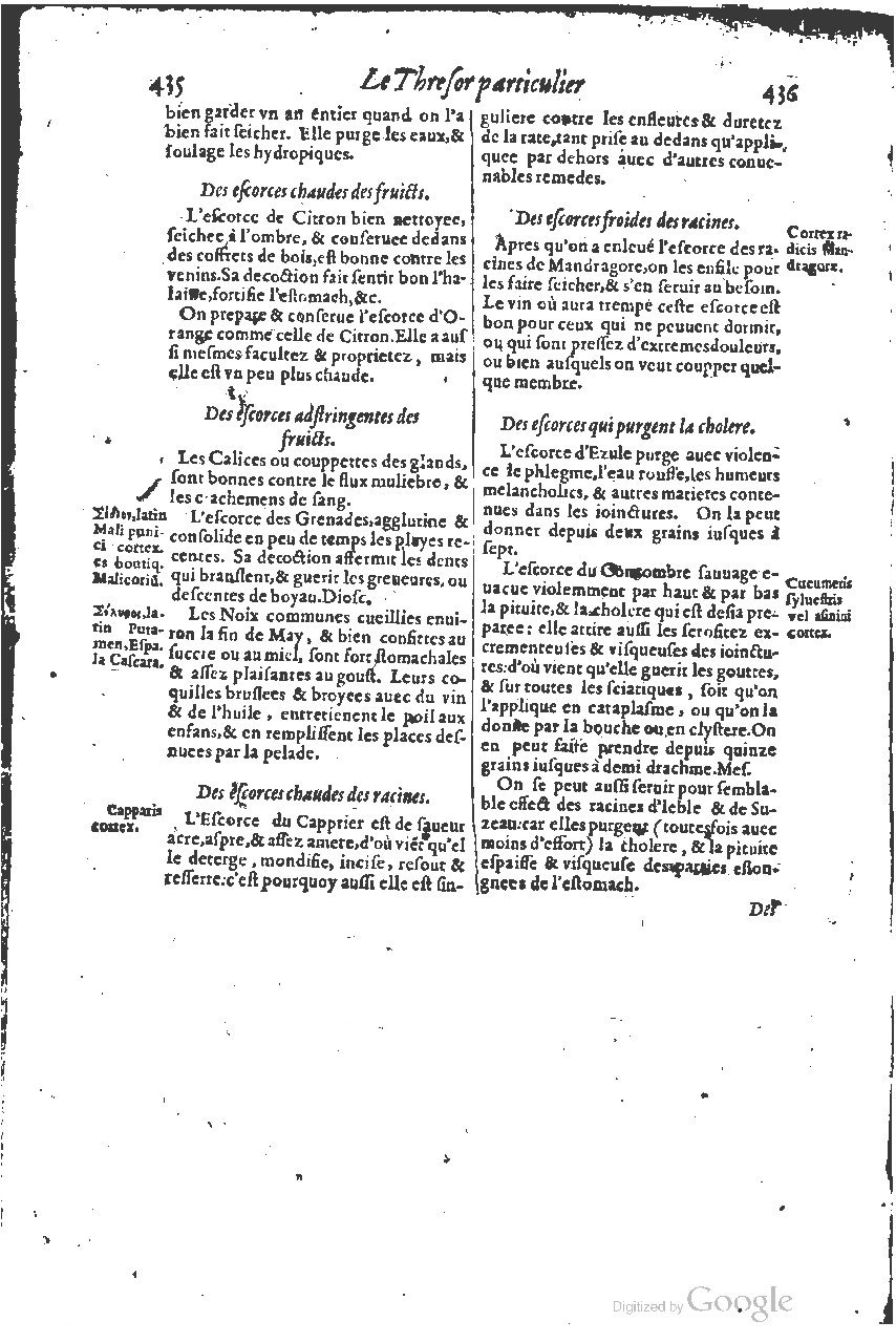 1616 - Étienne Gamonet - Grand trésor ou dispensaire - BSB Munich