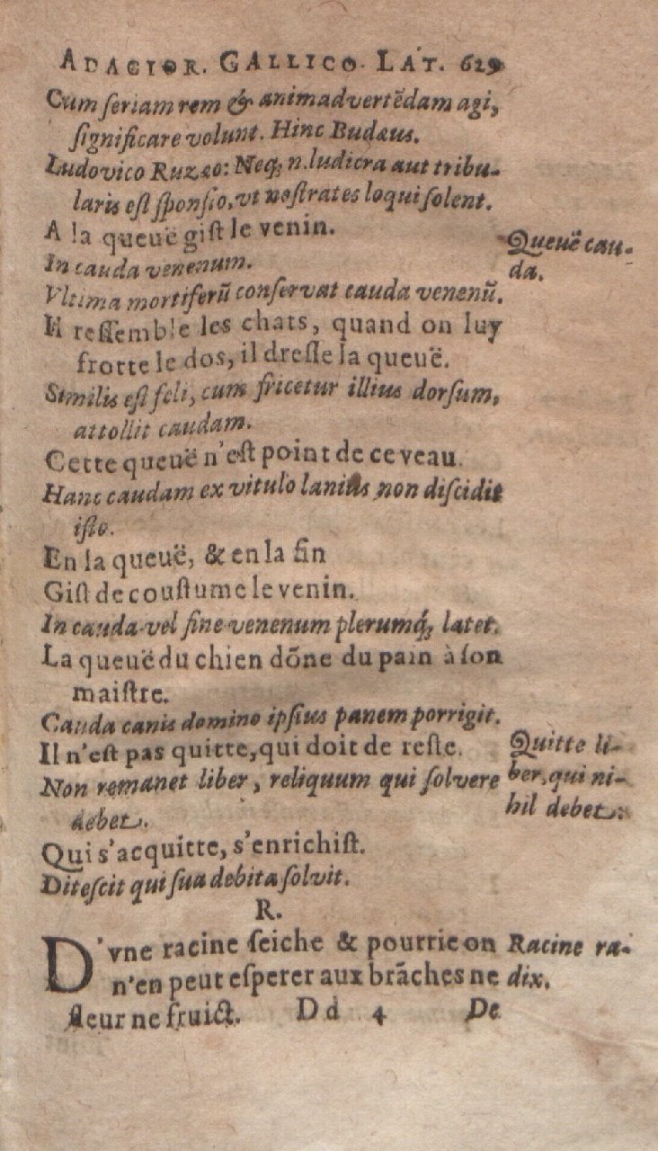 1612 - Dominicus Custos - Trésor des proverbes français  - Bibliopol-Olomuc