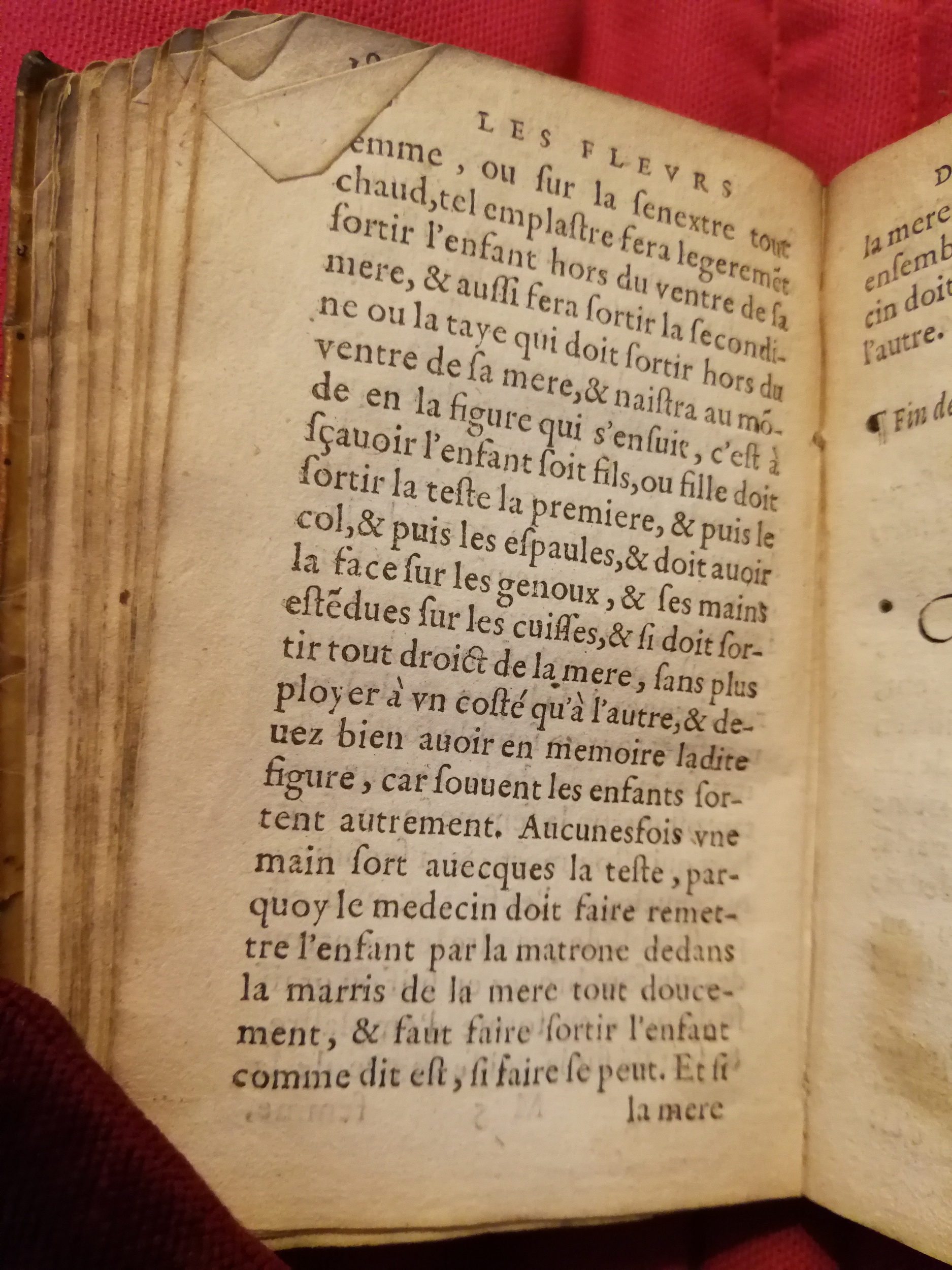 1586 - Benoît Rigaud - Trésor des fleurs et secrets de médecine - Sainte-Geneviève