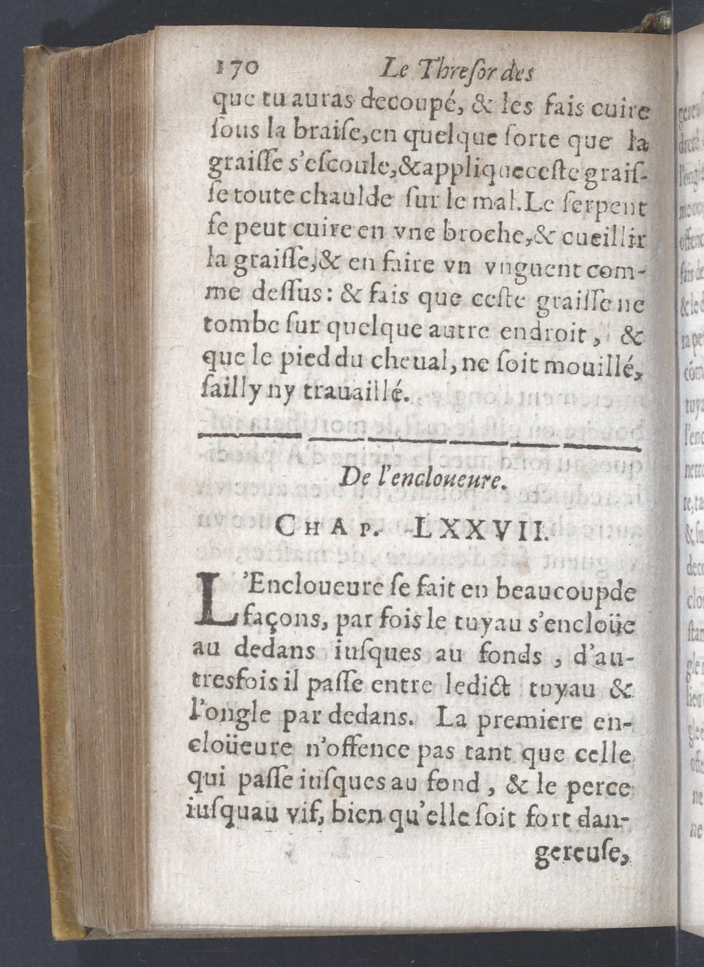 1619 - Pierre Rigaud - Trésor des bêtes chevalines - BnF