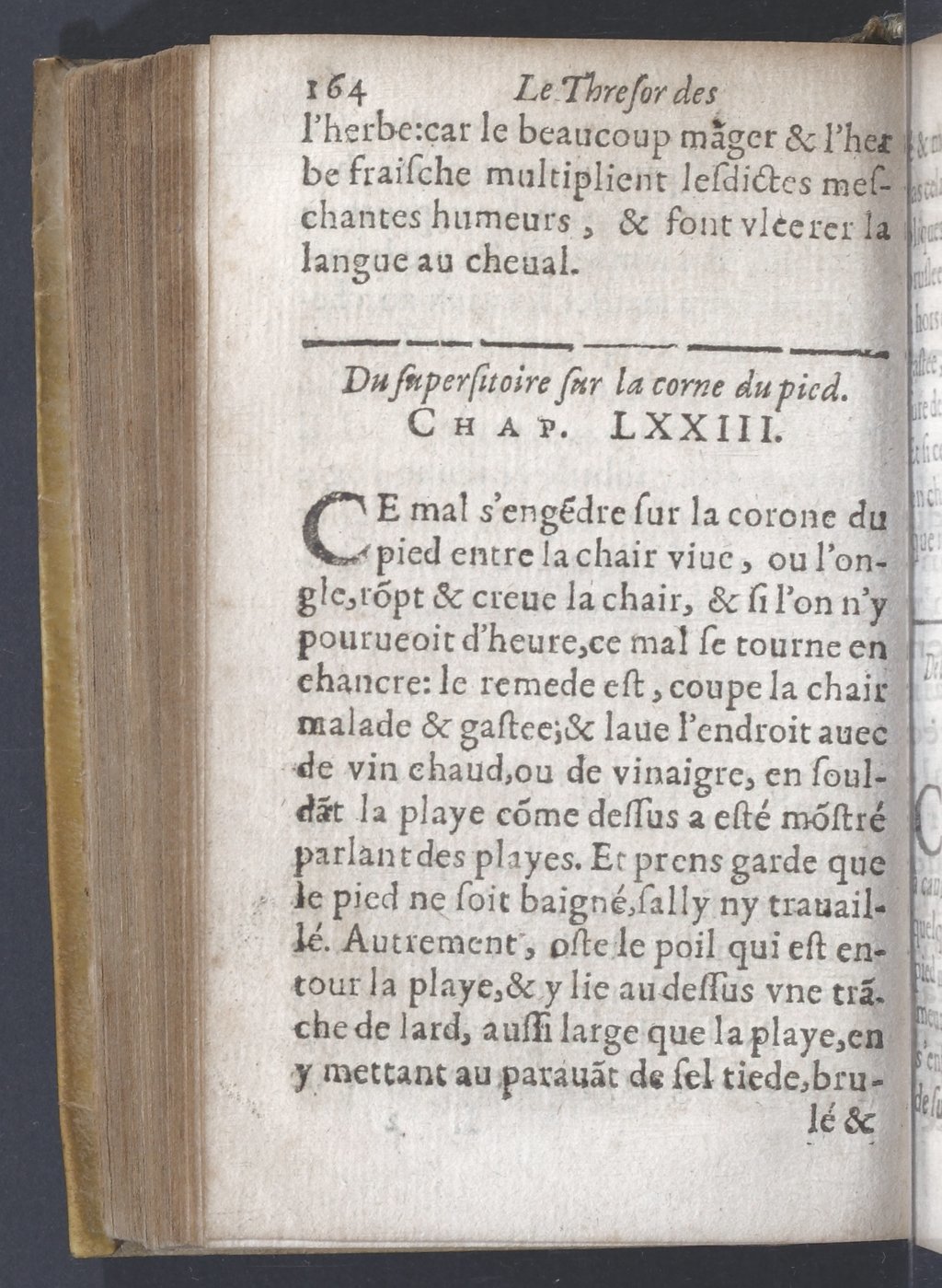 1619 - Pierre Rigaud - Trésor des bêtes chevalines - BnF