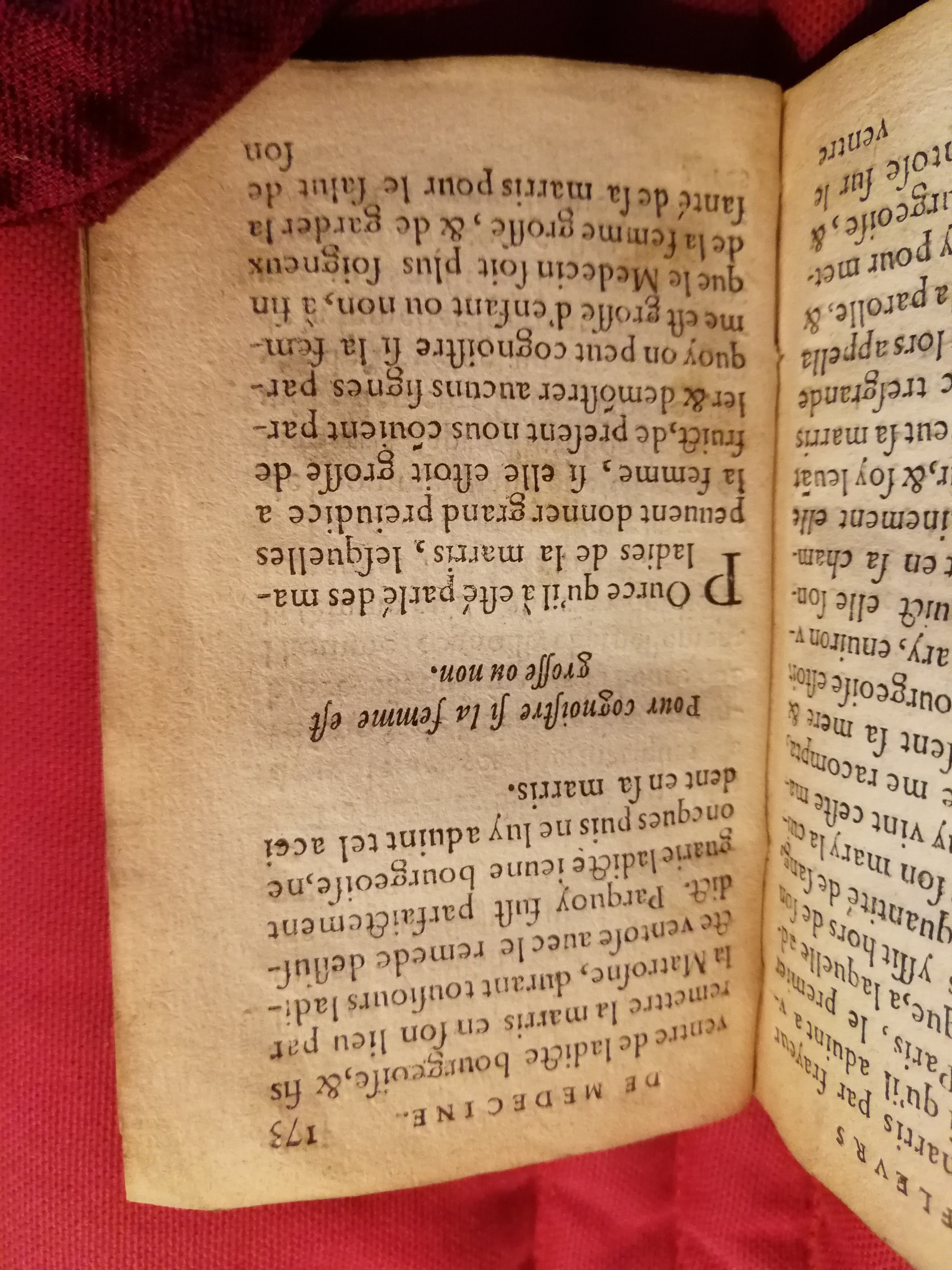 1586 - Benoît Rigaud - Trésor des fleurs et secrets de médecine - Sainte-Geneviève