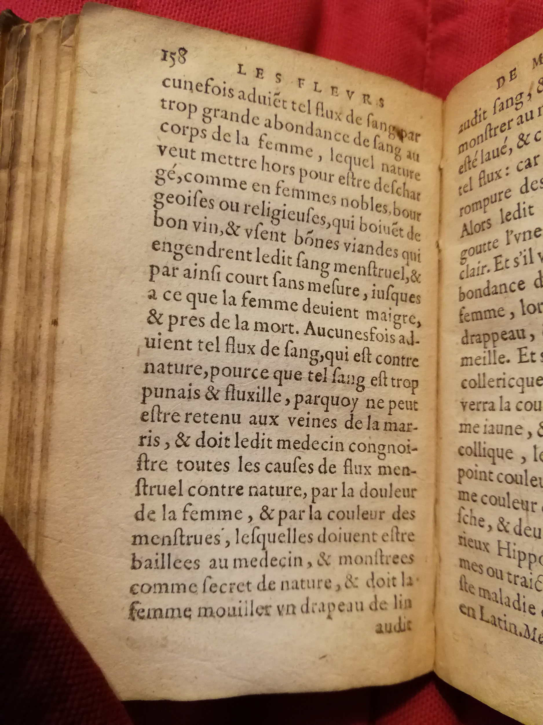 1586 - Benoît Rigaud - Trésor des fleurs et secrets de médecine - Sainte-Geneviève
