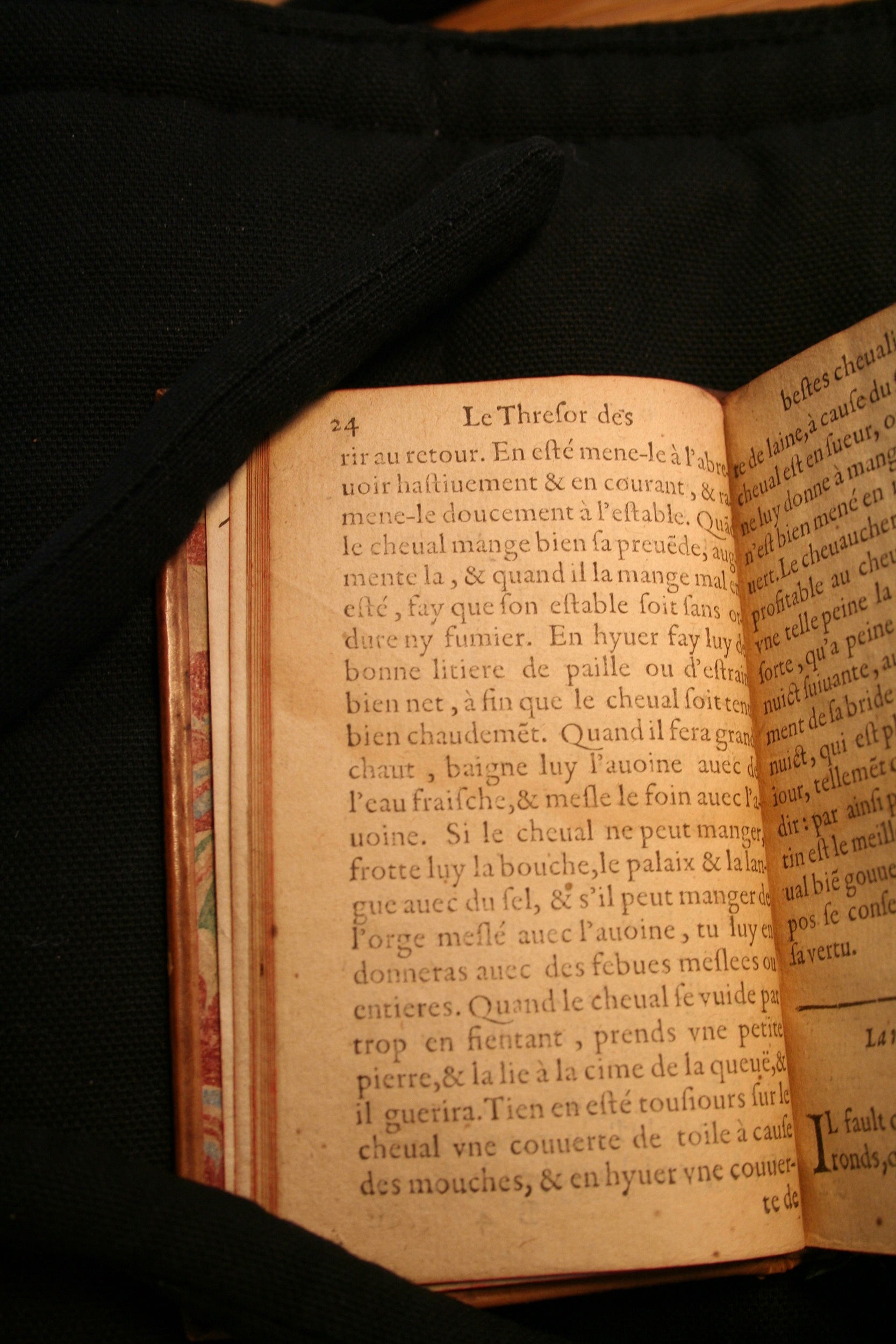 1591 - Pierre Chastaing et Benoît Rigaud - Trésor des bêtes chevalines - BM Bordeaux