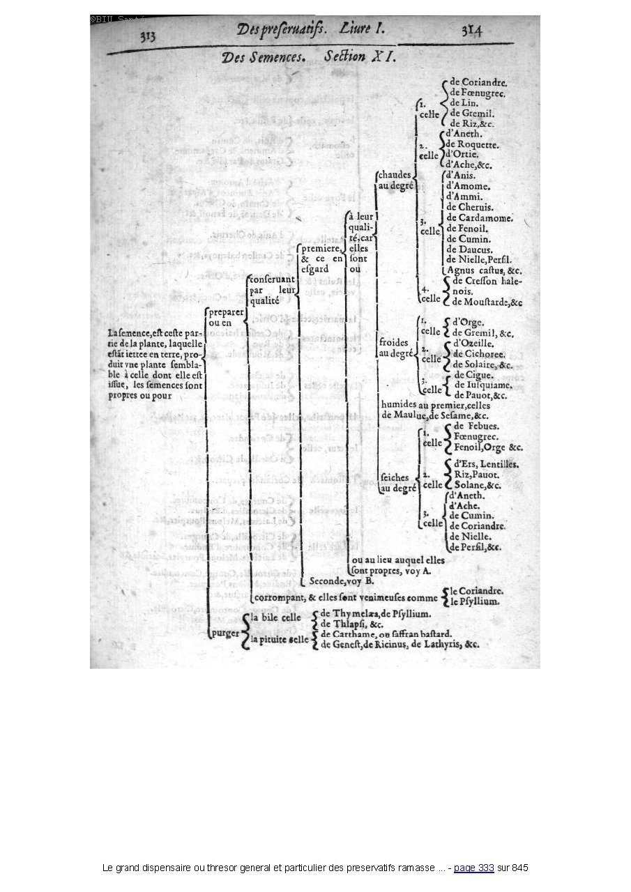 1609 - Étienne Gamonet - Grand dispensaire ou Trésor général et particulier des préservatifs - BIU Santé 1609 - Étienne Gamonet - Grand dispensaire ou Trésor général et particulier des préservatifs - BIU Santé