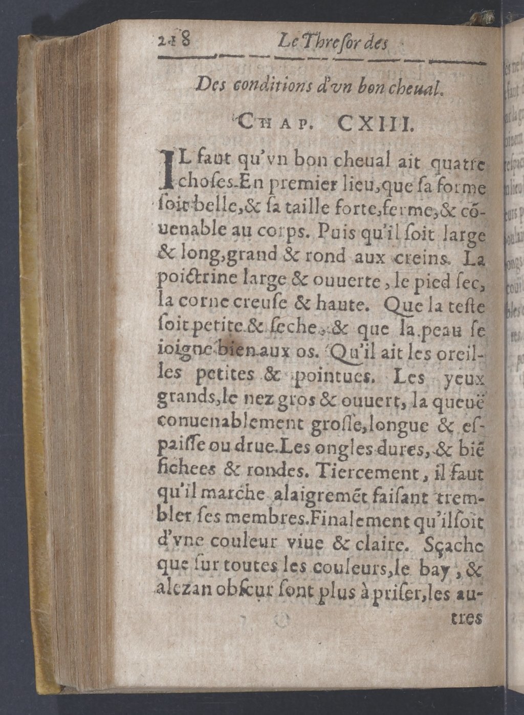 1619 - Pierre Rigaud - Trésor des bêtes chevalines - BnF 1619 - Pierre Rigaud - Trésor des bêtes chevalines - BnF