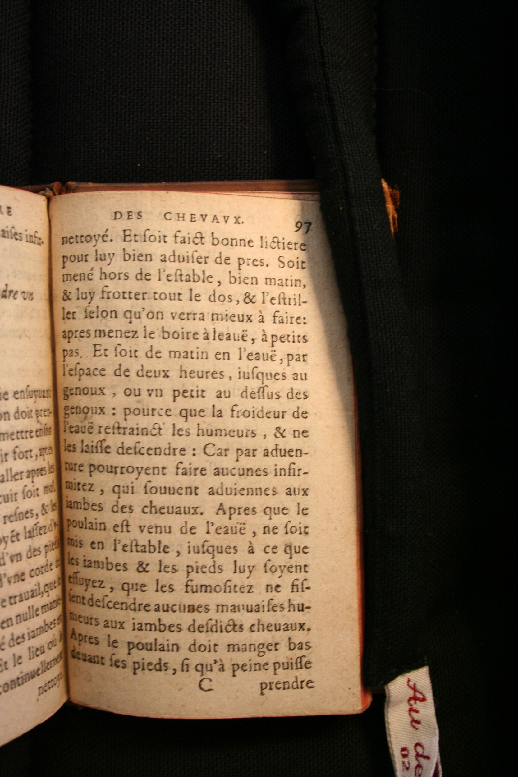 1591 - Pierre Chastaing et Benoît Rigaud - Trésor des bêtes chevalines - BM Bordeaux