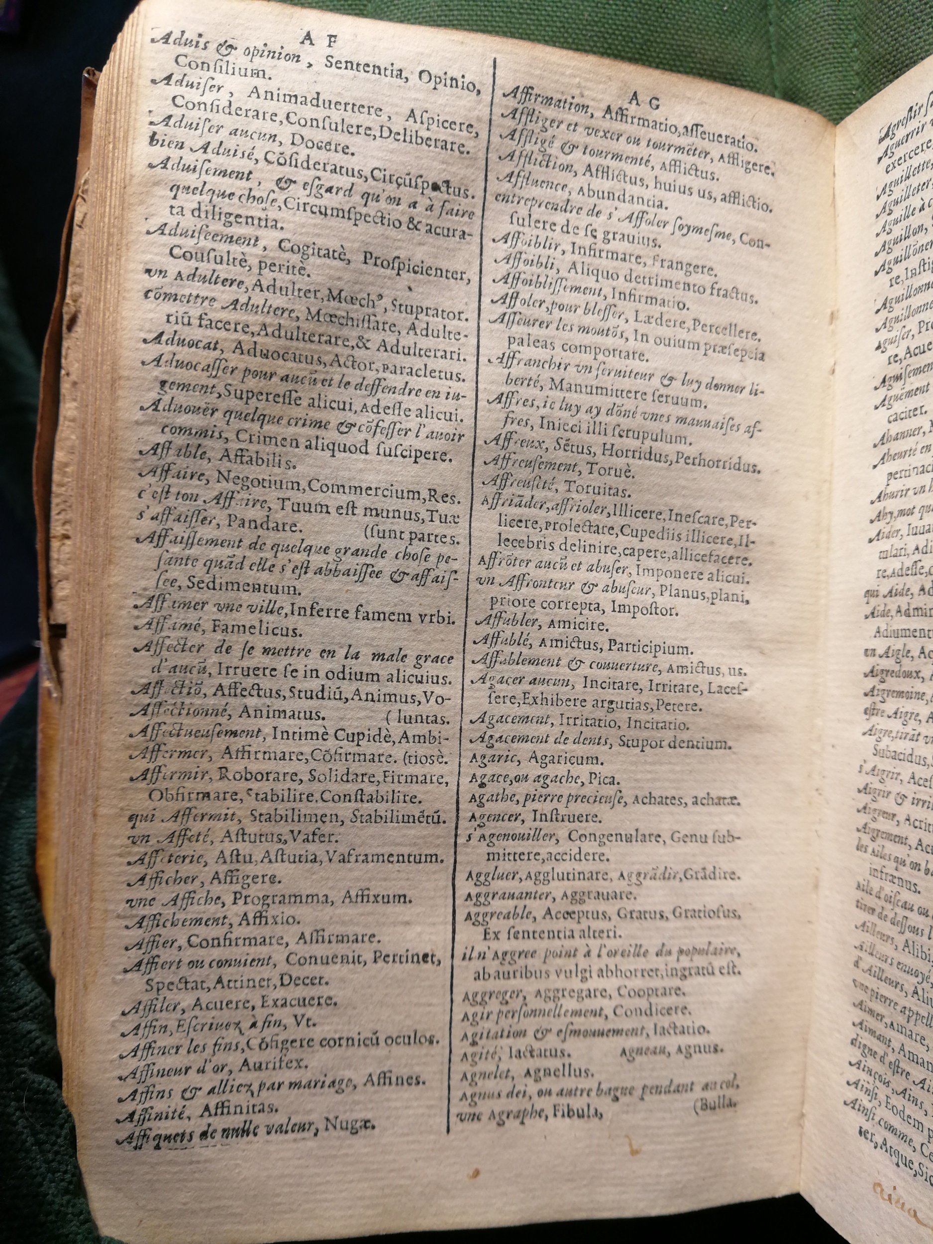 1597 - Martin le Mégissier - Trésor des mots et traits français - BnF