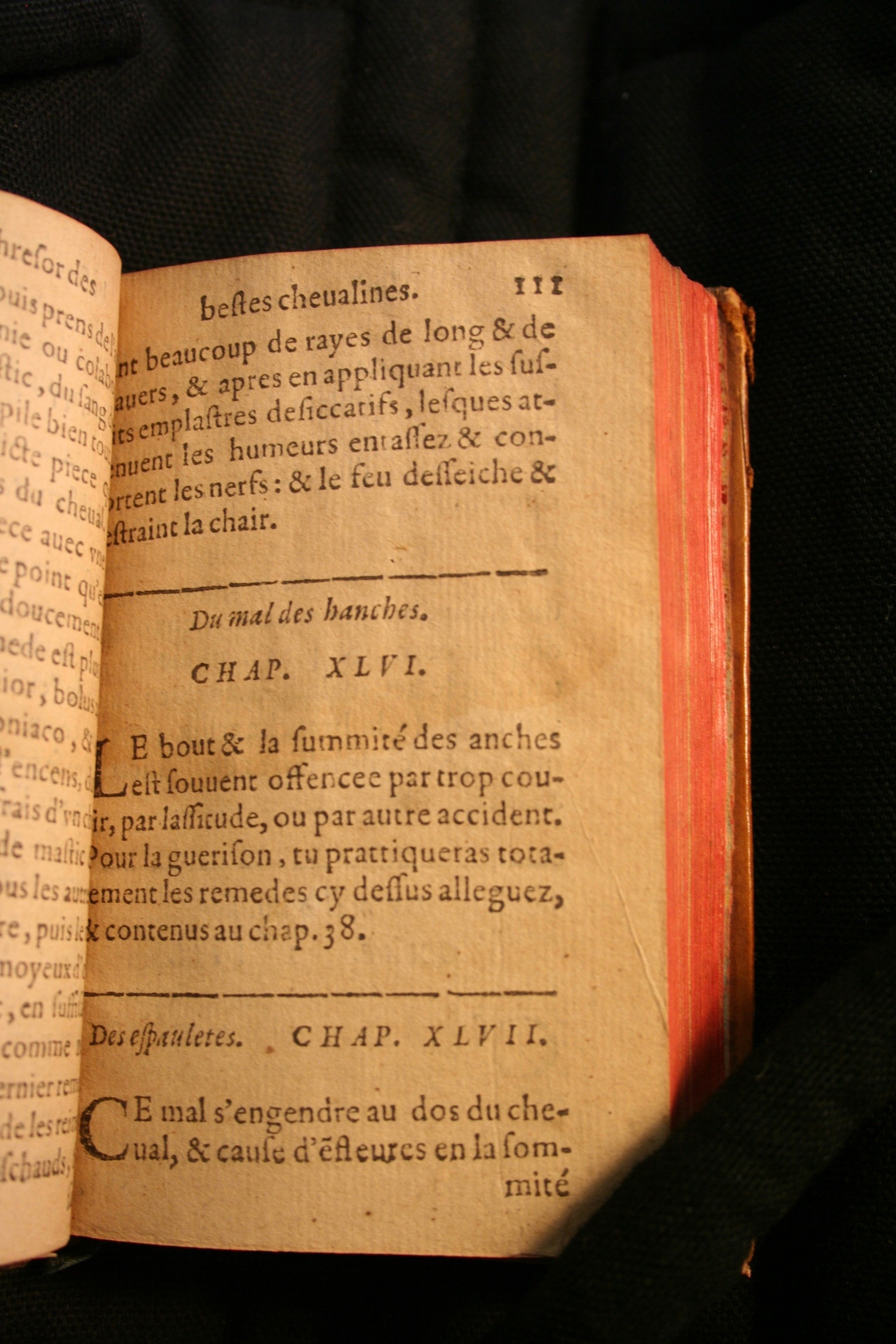1591 - Pierre Chastaing et Benoît Rigaud - Trésor des bêtes chevalines - BM Bordeaux