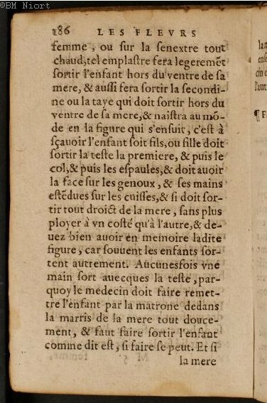 1586 - Benoît Rigaud - Trésor des fleurs et secrets de médecine - Université Paris Cité