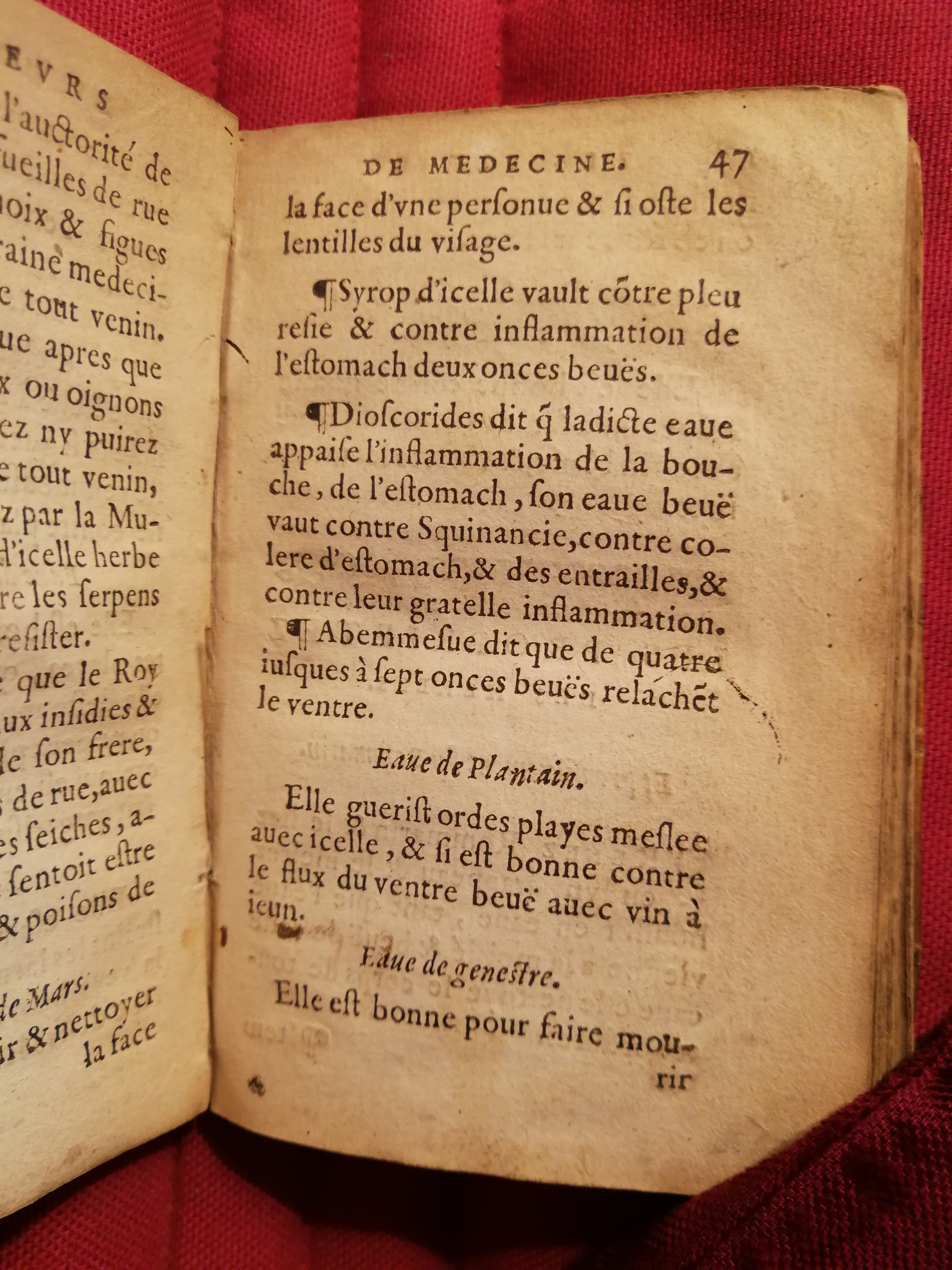 1586 - Benoît Rigaud - Trésor des fleurs et secrets de médecine - Sainte-Geneviève