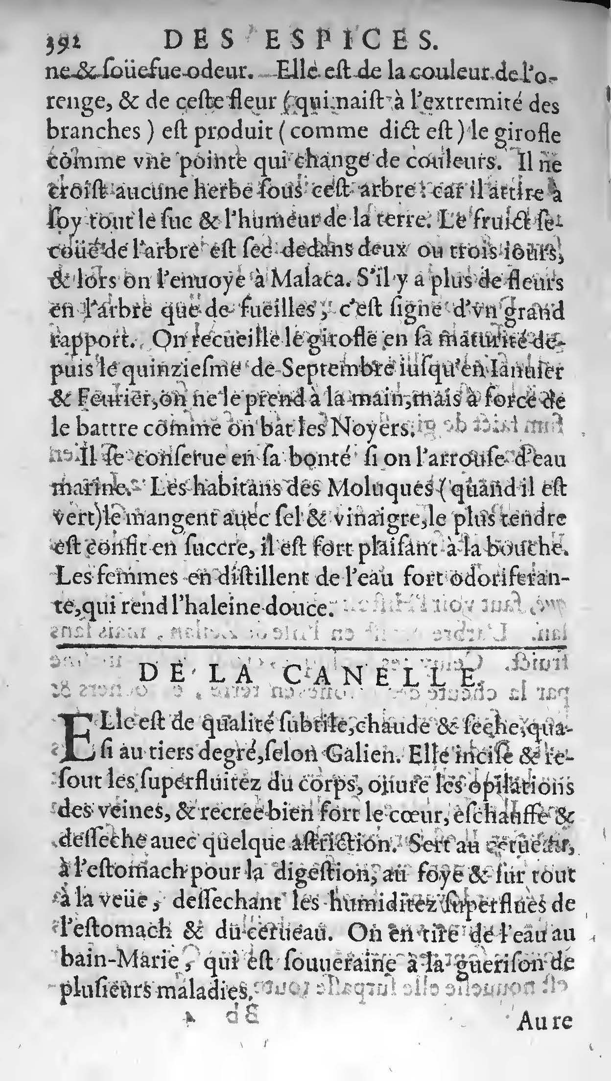 1607 - Étienne Servain et Jean Antoine Huguetan - Trésor de santé ou ménage de la vie humaine - BIU Santé