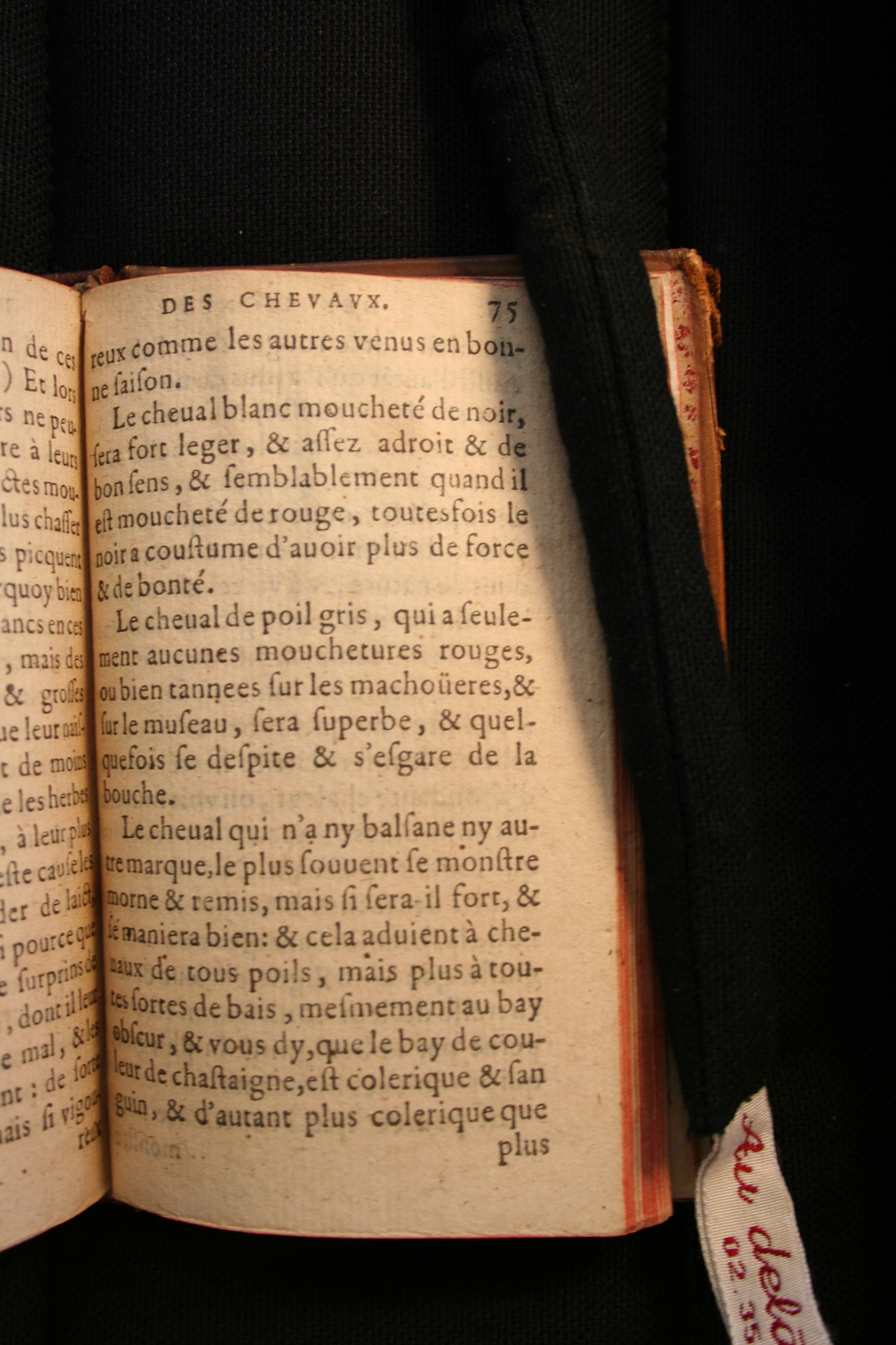 1591 - Pierre Chastaing et Benoît Rigaud - Trésor des bêtes chevalines - BM Bordeaux