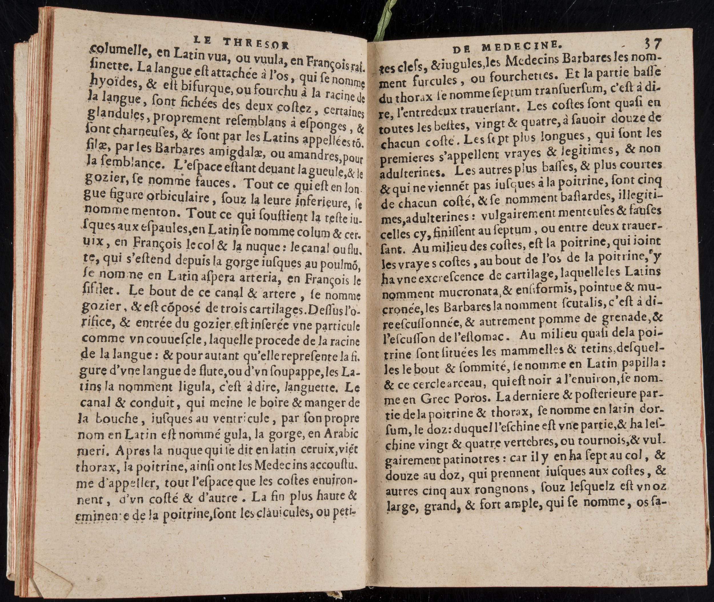 1560 - Nicolas Pelletier - Trésor de médecine - BM Poitiers