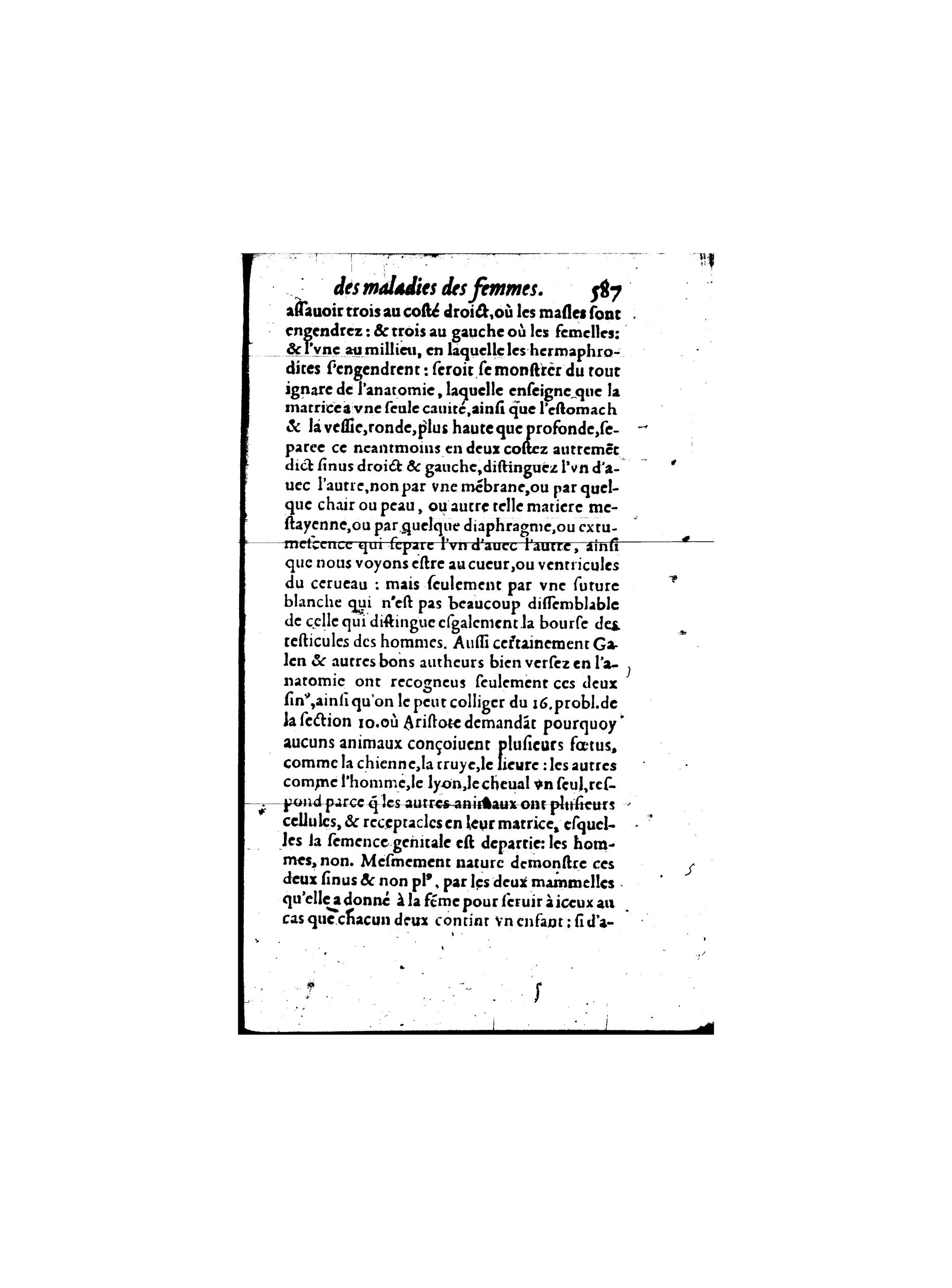 1587 - Jacques du Puis - Trésor des remèdes secrets pour les maladies des femmes - BnF 1587 - Jacques du Puis - Trésor des remèdes secrets pour les maladies des femmes - BnF