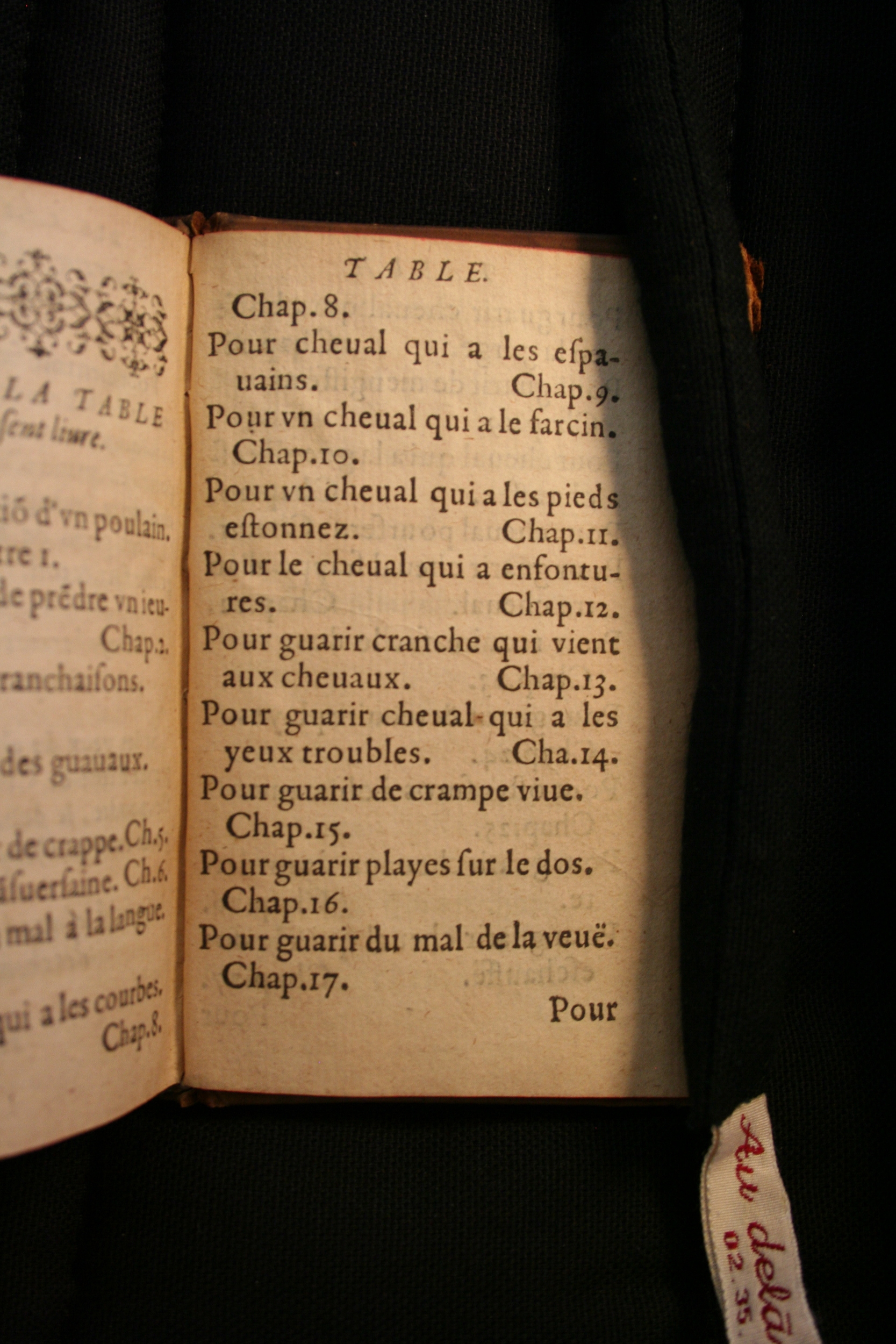 1591 - Pierre Chastaing et Benoît Rigaud - Trésor des bêtes chevalines - BM Bordeaux