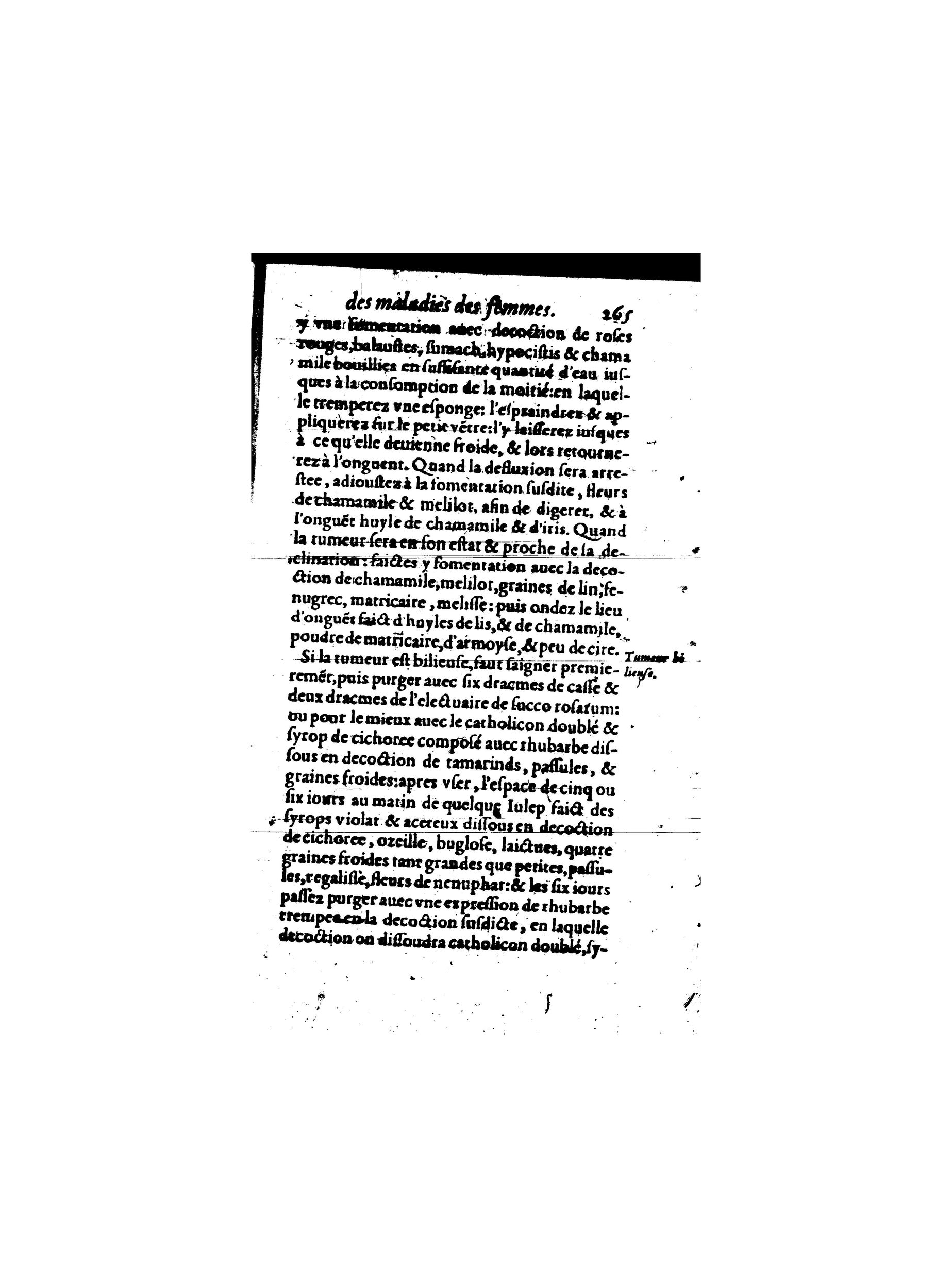 1587 - Jacques du Puis - Trésor des remèdes secrets pour les maladies des femmes - BnF 1587 - Jacques du Puis - Trésor des remèdes secrets pour les maladies des femmes - BnF