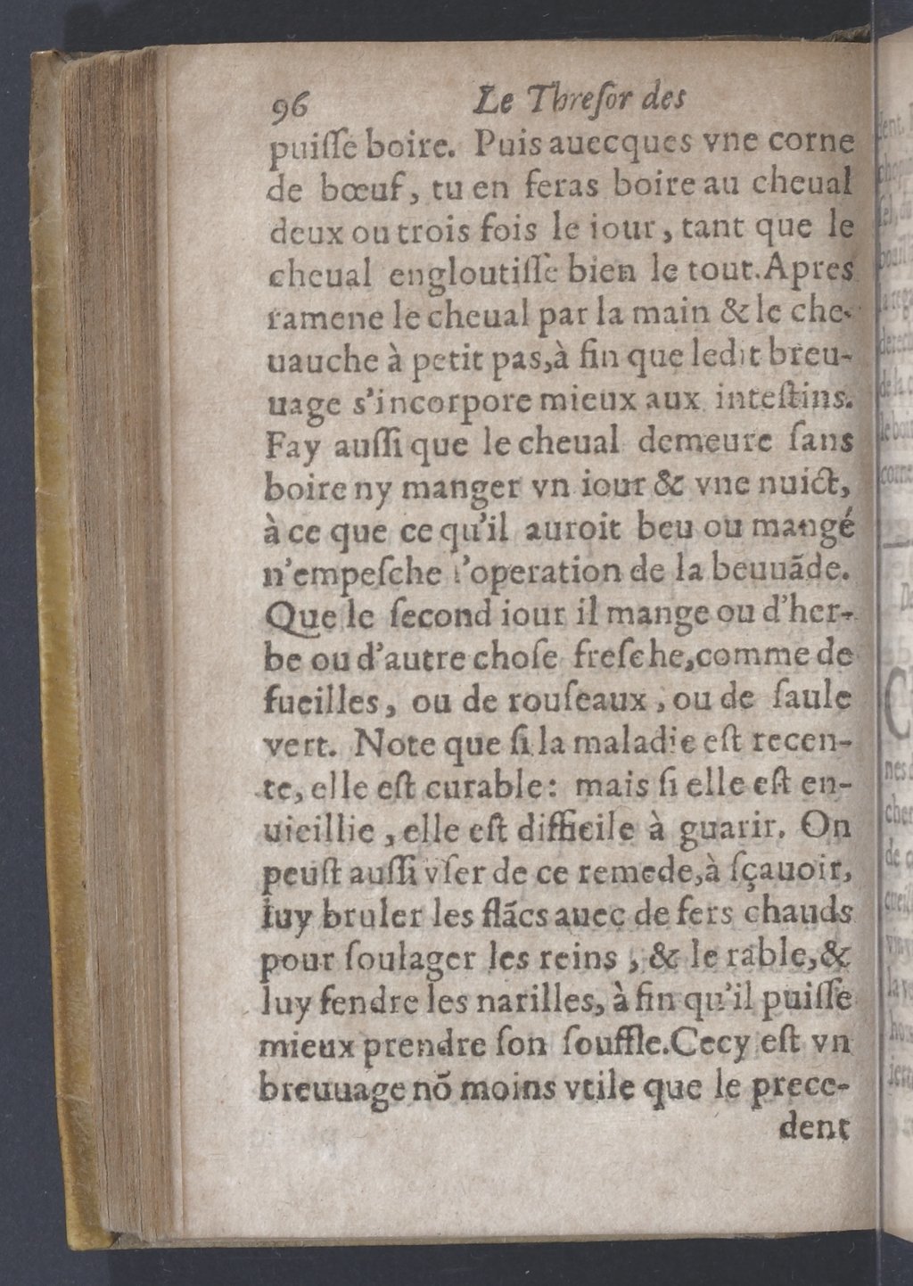 1619 - Pierre Rigaud - Trésor des bêtes chevalines - BnF