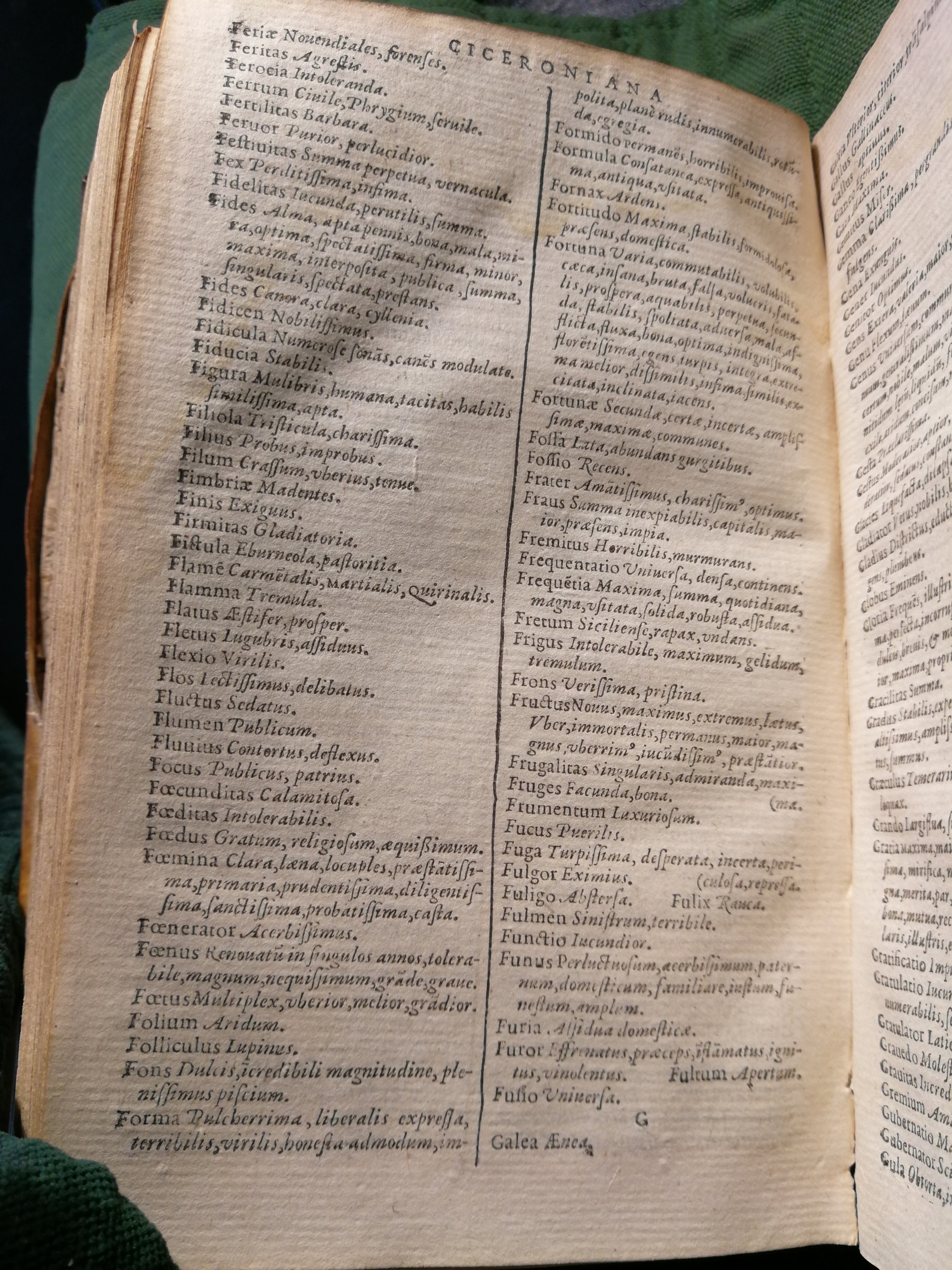 1597 - Martin le Mégissier - Trésor des mots et traits français - BnF