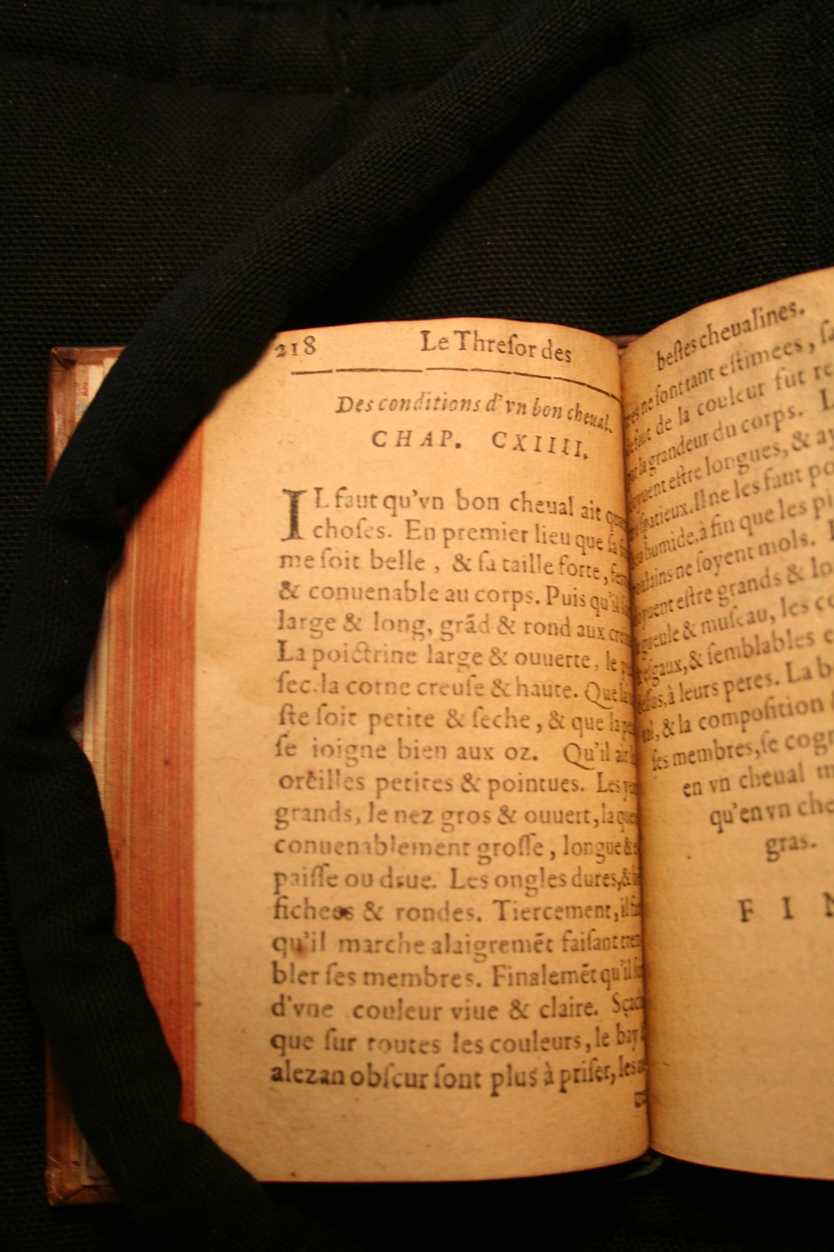 1591 - Pierre Chastaing et Benoît Rigaud - Trésor des bêtes chevalines - BM Bordeaux