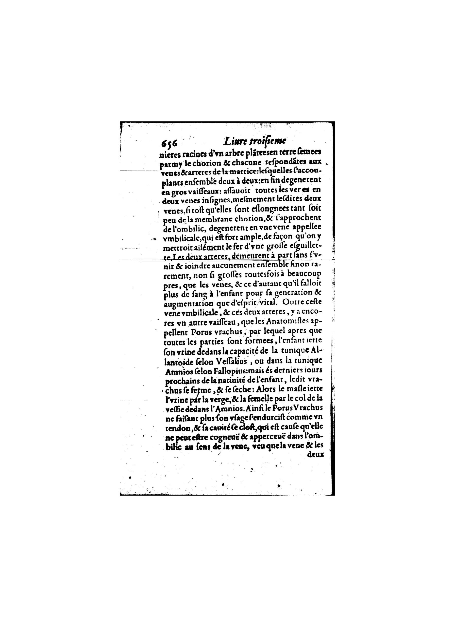 1587 - Jacques du Puis - Trésor des remèdes secrets pour les maladies des femmes - BnF 1587 - Jacques du Puis - Trésor des remèdes secrets pour les maladies des femmes - BnF