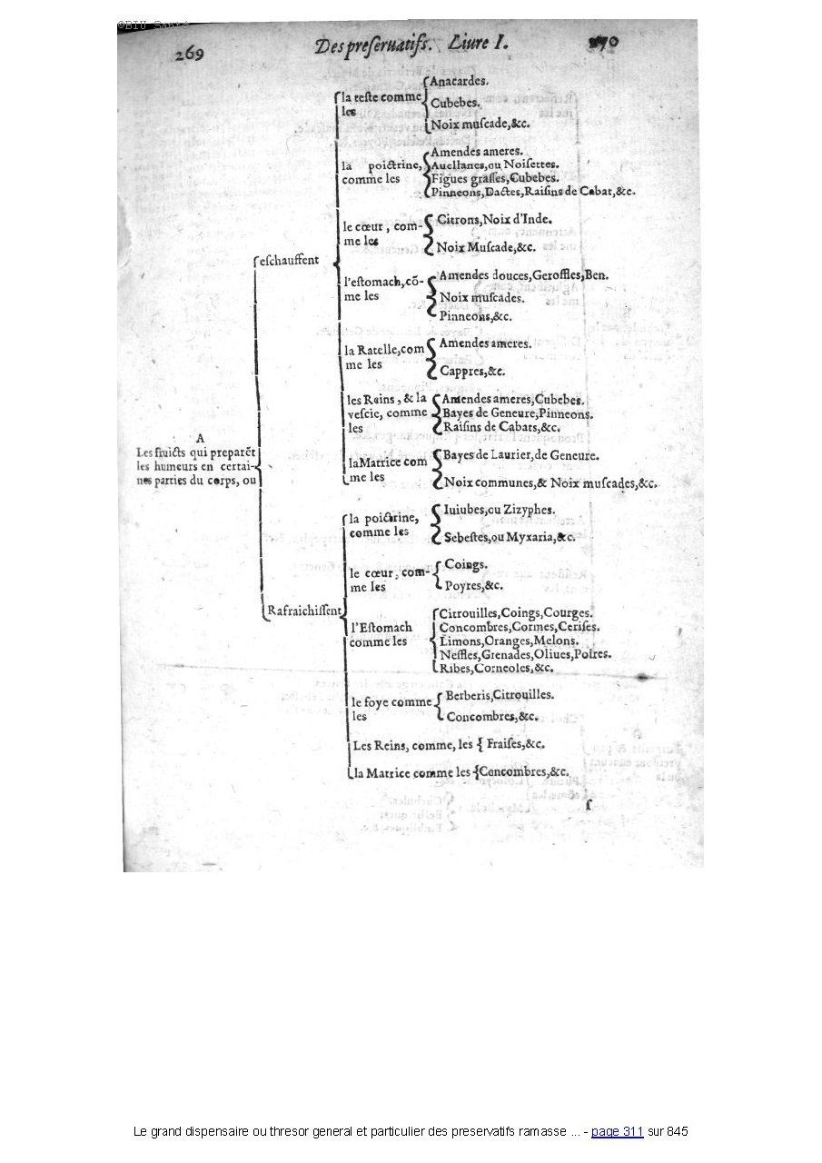 1609 - Étienne Gamonet - Grand dispensaire ou Trésor général et particulier des préservatifs - BIU Santé 1609 - Étienne Gamonet - Grand dispensaire ou Trésor général et particulier des préservatifs - BIU Santé