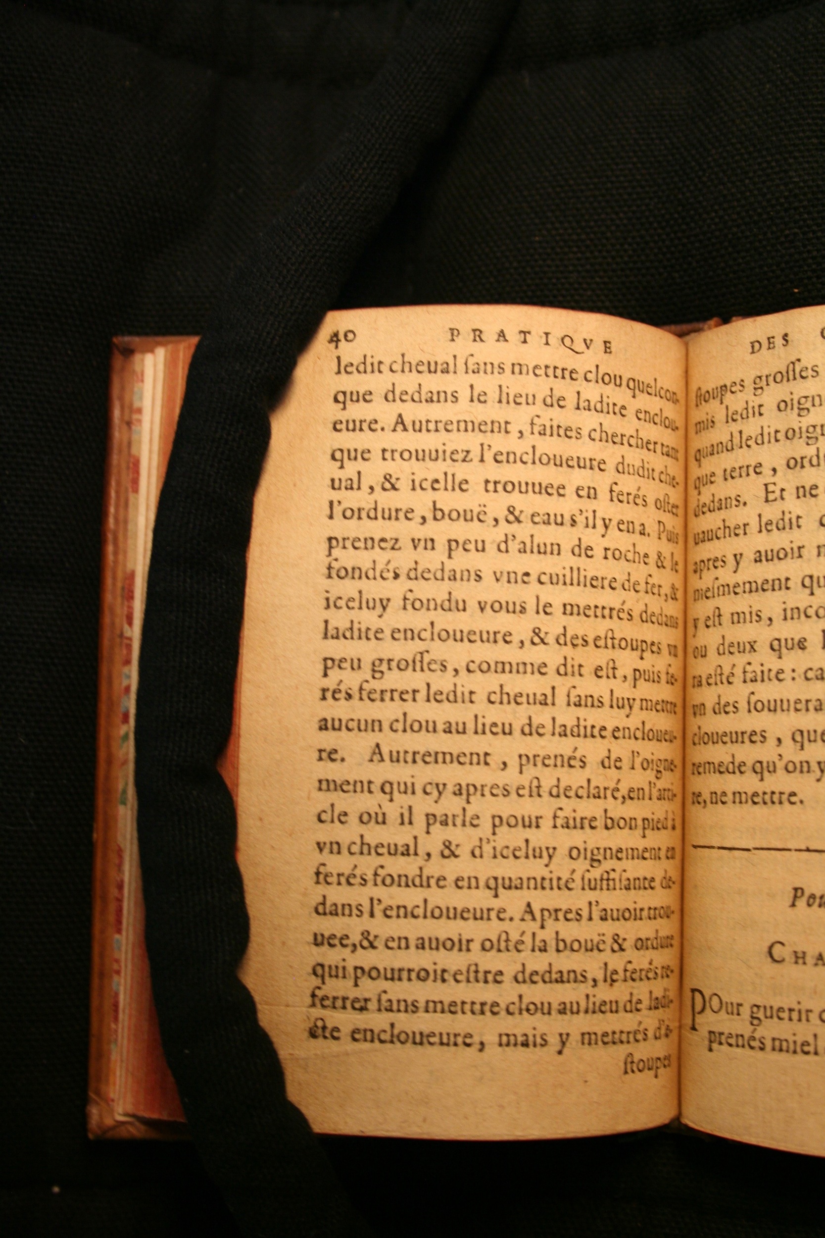 1591 - Pierre Chastaing et Benoît Rigaud - Trésor des bêtes chevalines - BM Bordeaux