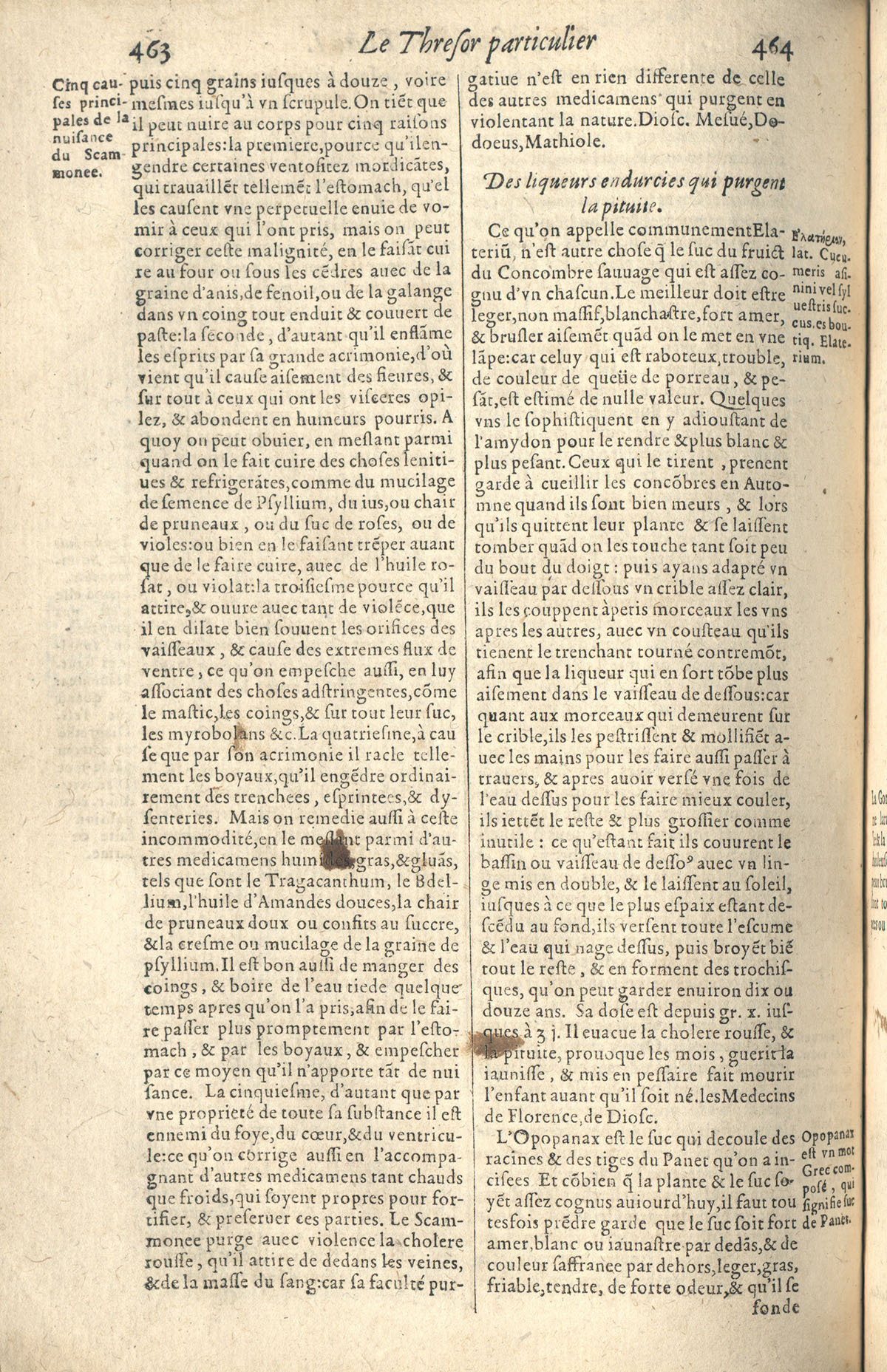 1610 - Étienne Gamonet - Grand Trésor ou dispensaire - CESR Tours