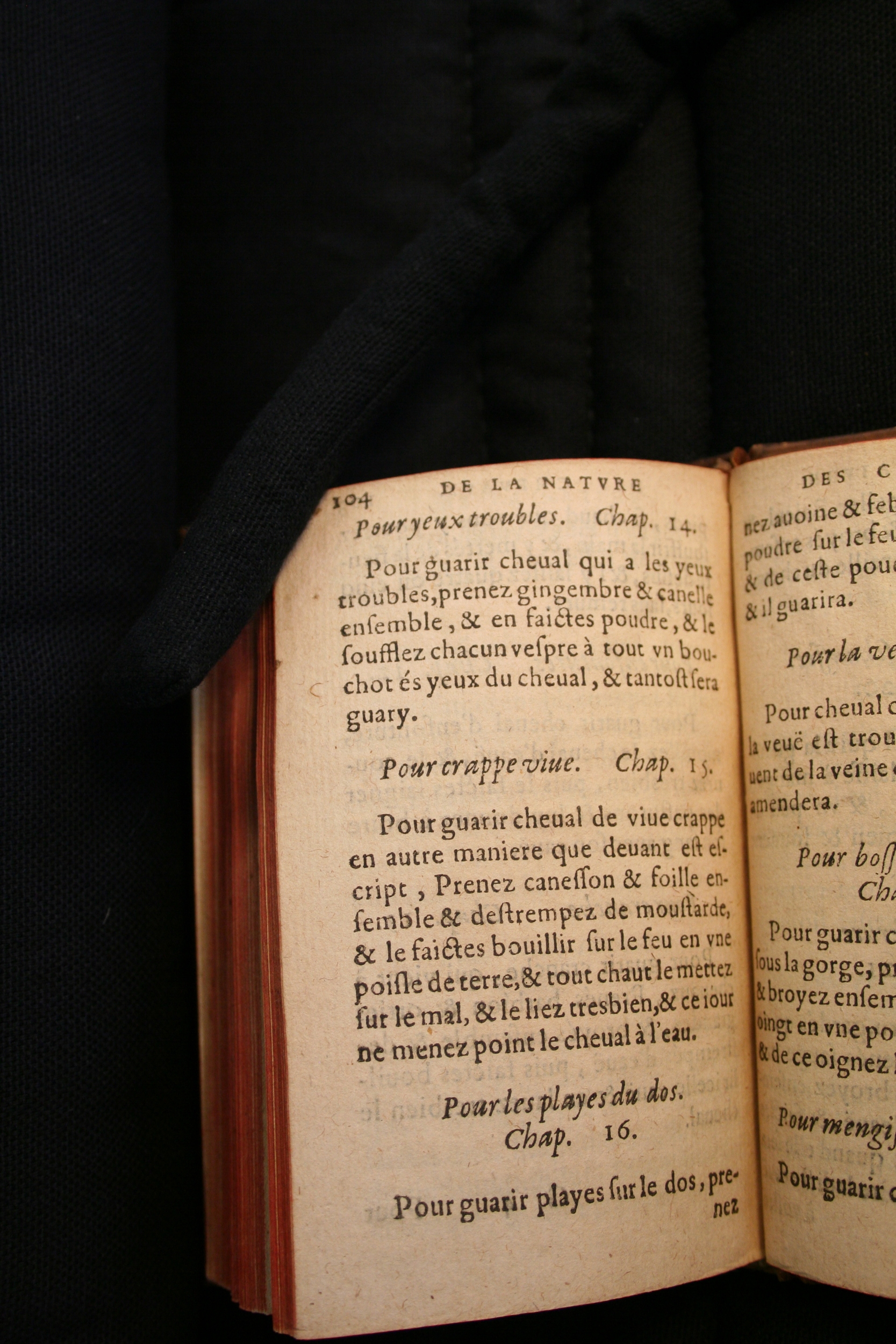 1591 - Pierre Chastaing et Benoît Rigaud - Trésor des bêtes chevalines - BM Bordeaux