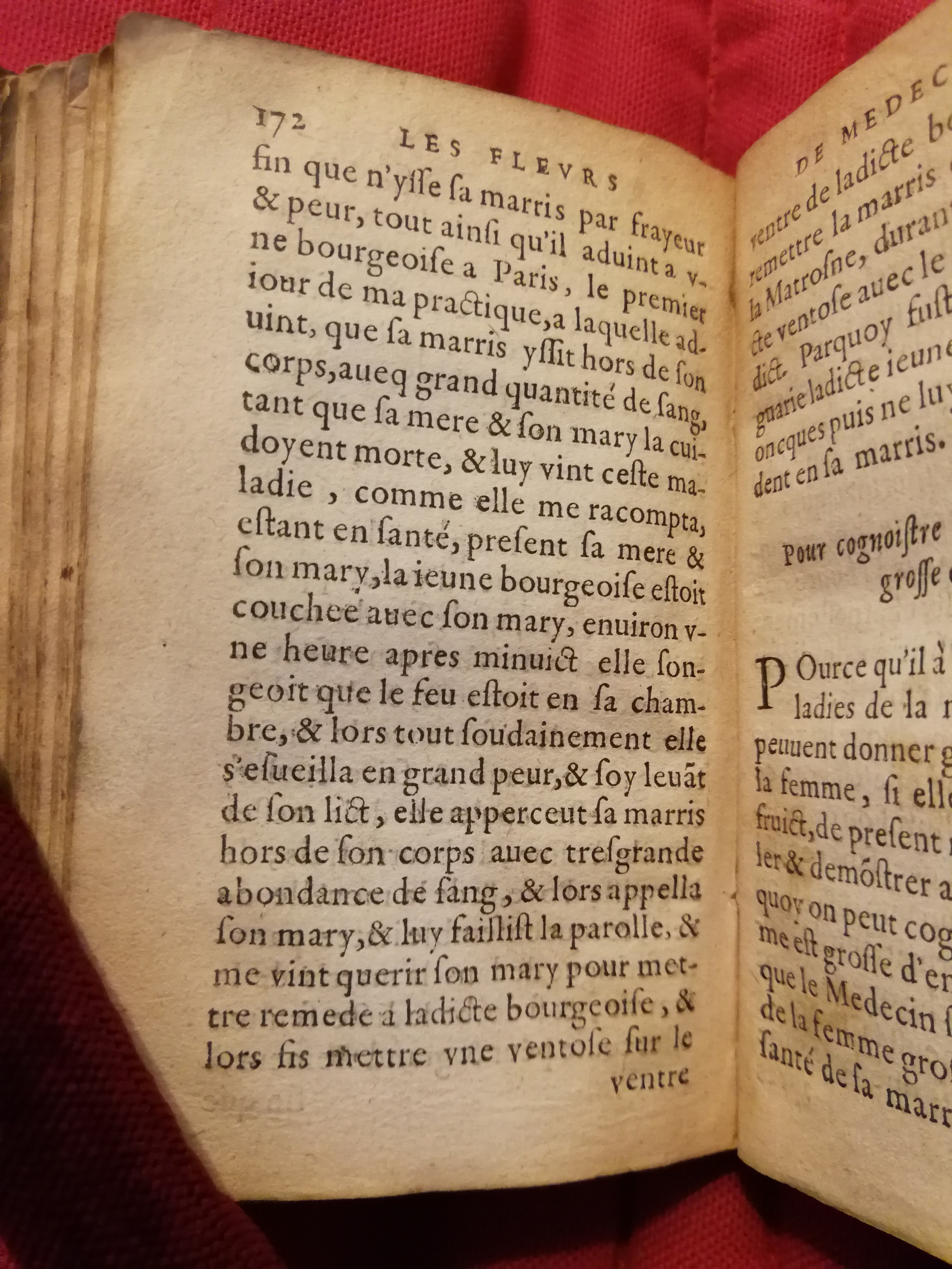 1586 - Benoît Rigaud - Trésor des fleurs et secrets de médecine - Sainte-Geneviève