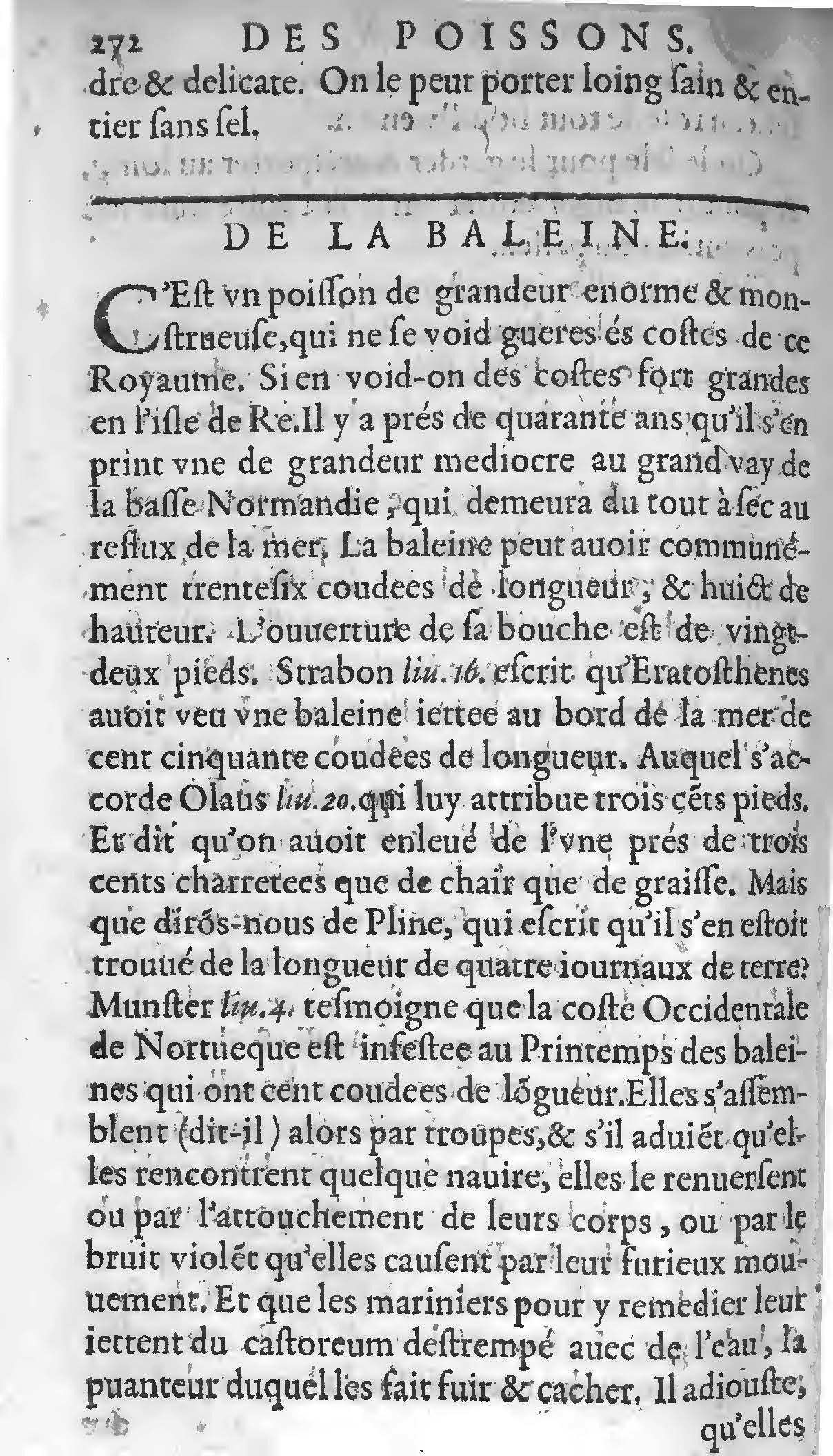 1607 - Étienne Servain et Jean Antoine Huguetan - Trésor de santé ou ménage de la vie humaine - BIU Santé