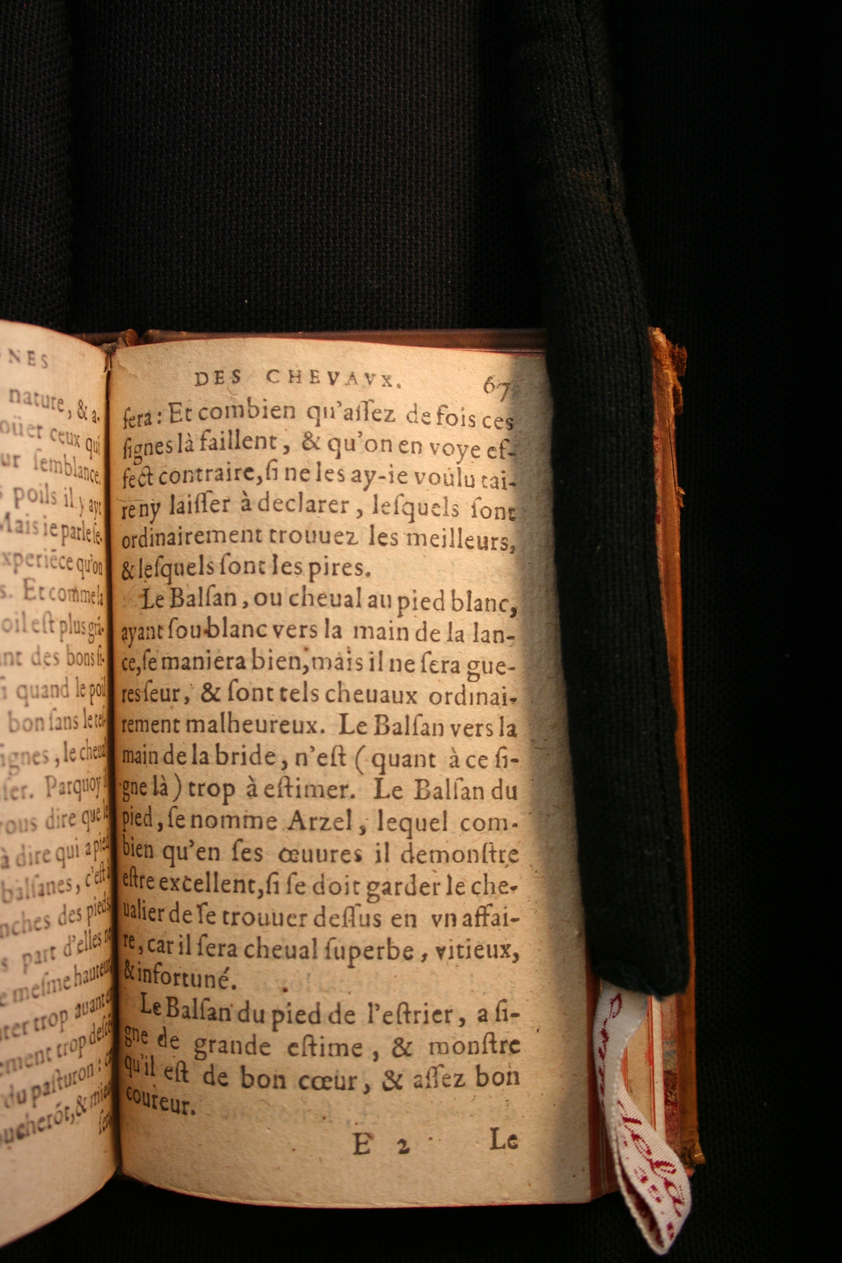 1591 - Pierre Chastaing et Benoît Rigaud - Trésor des bêtes chevalines - BM Bordeaux