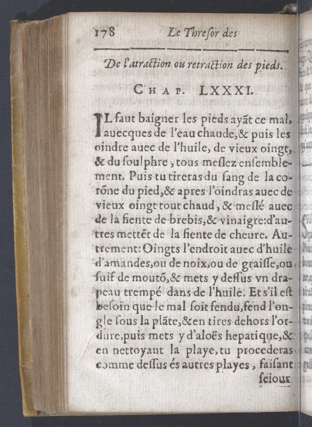 1619 - Pierre Rigaud - Trésor des bêtes chevalines - BnF 1619 - Pierre Rigaud - Trésor des bêtes chevalines - BnF
